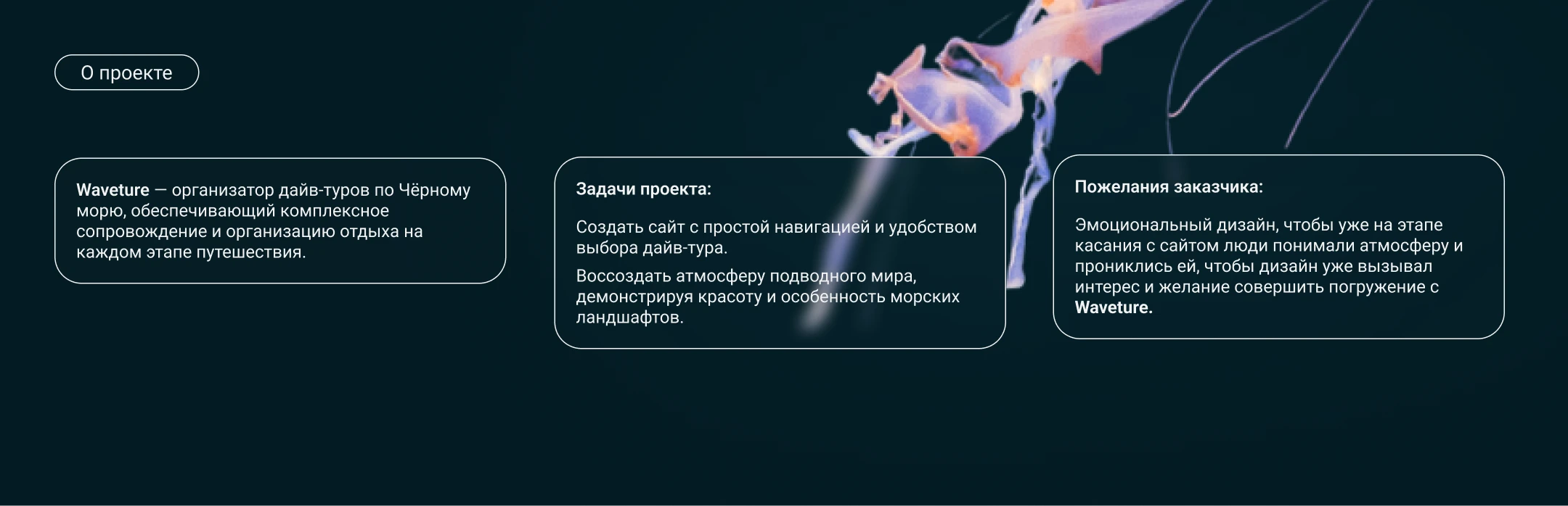 Дайвинг туры | Лендинг — Изображение №2 — Интерфейсы на Dprofile