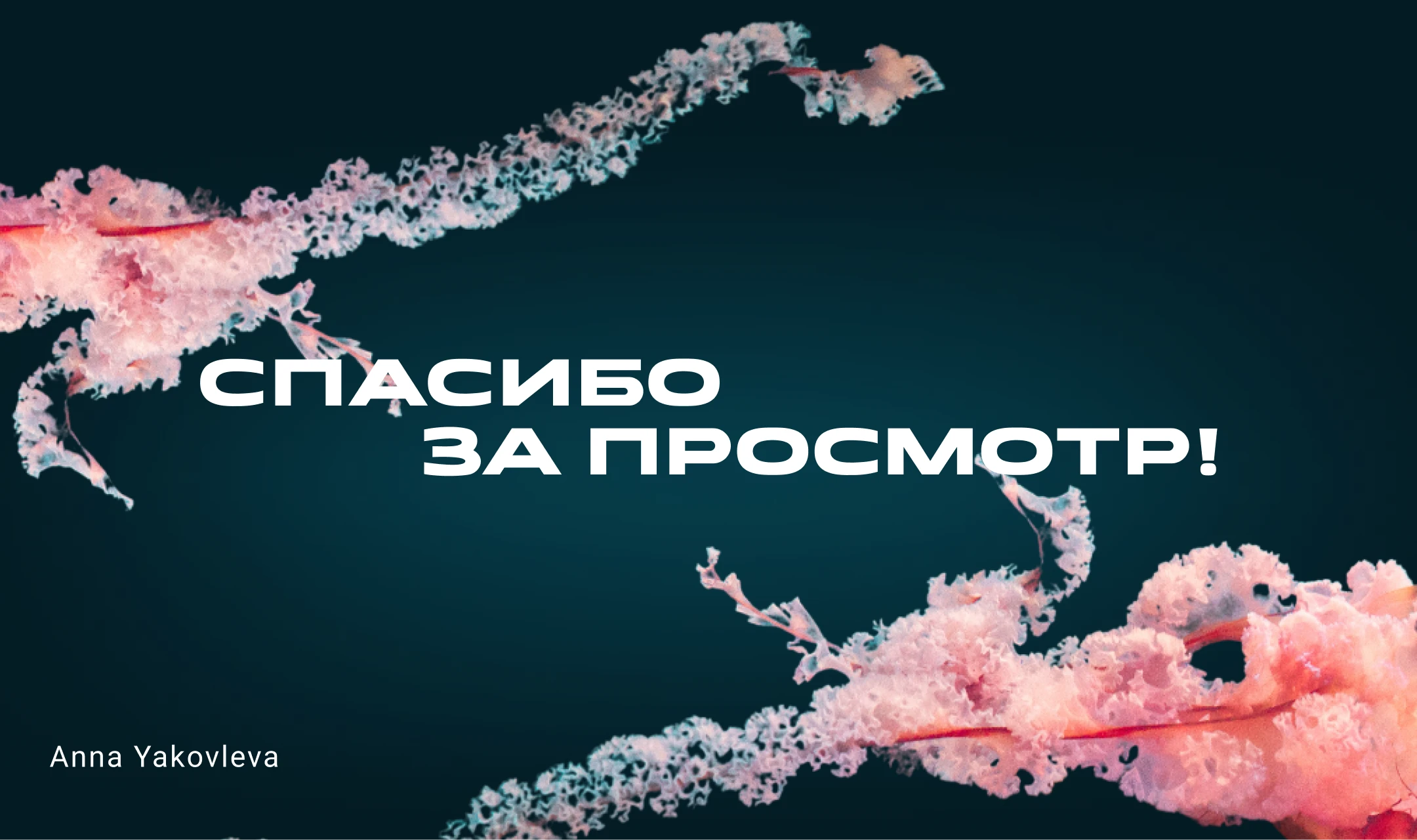 Дайвинг туры | Лендинг — Изображение №8 — Интерфейсы на Dprofile