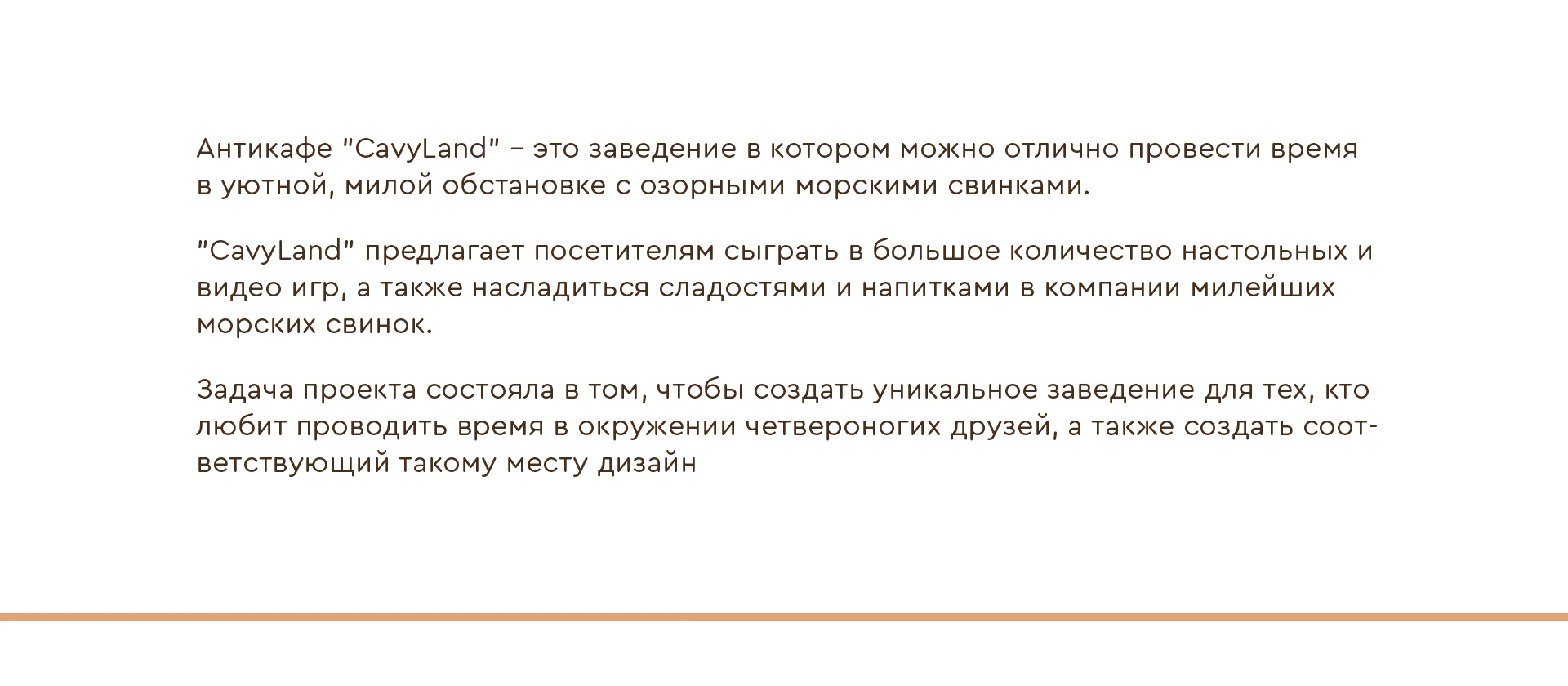 Фирменный стиль для антикафе с морскими свинками — Изображение №2 — Брендинг на Dprofile