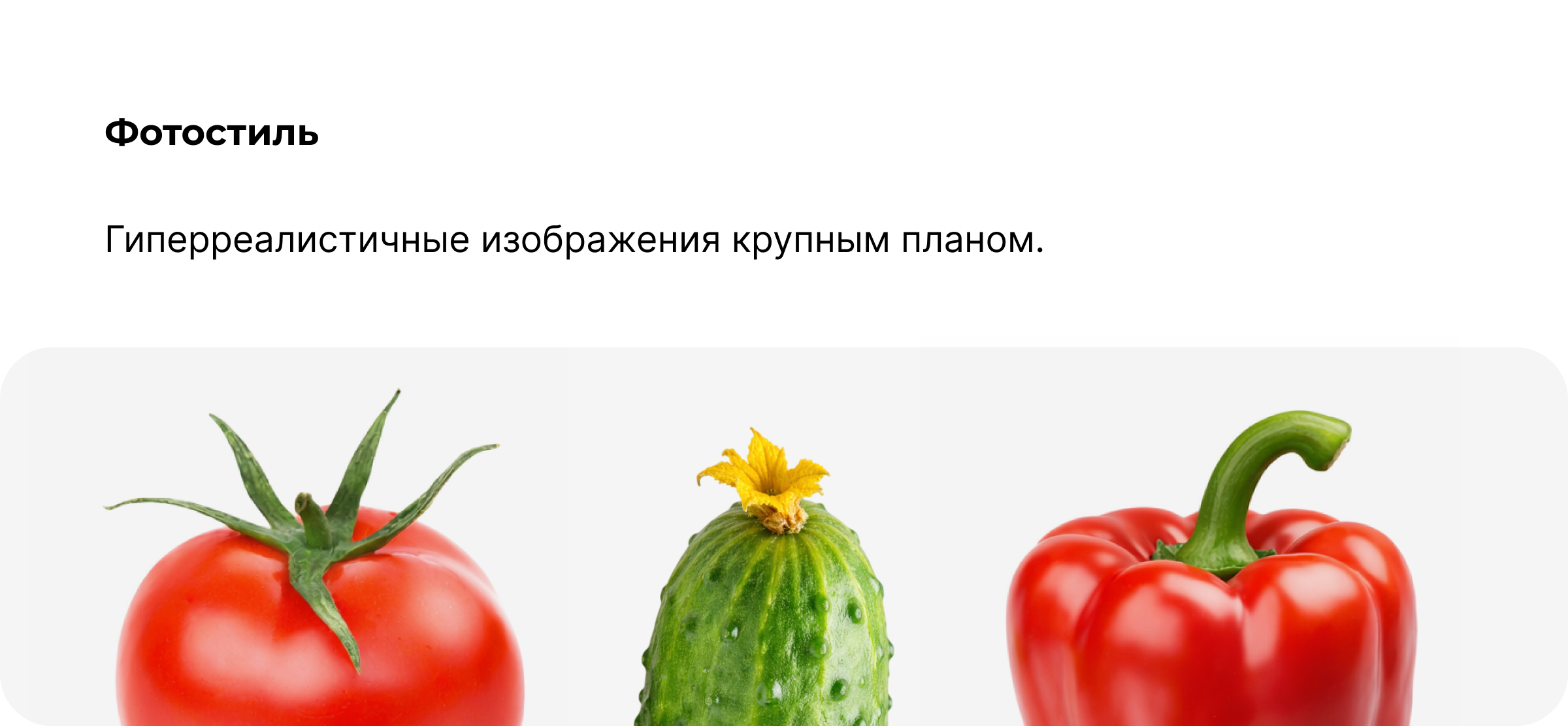 ЮЖАНИН Концепция для фирменного стиля консервного завода — Изображение №5 — Брендинг на Dprofile