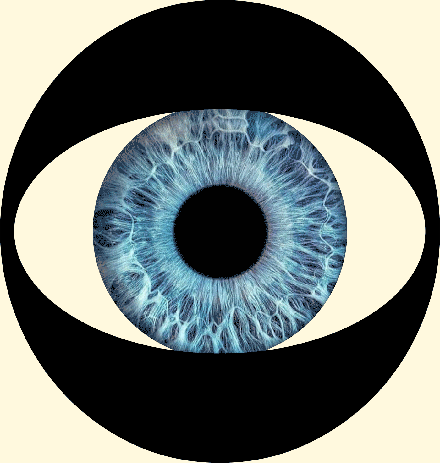 Резюме + портфолио — Изображение №83 — Брендинг, Графика на Dprofile