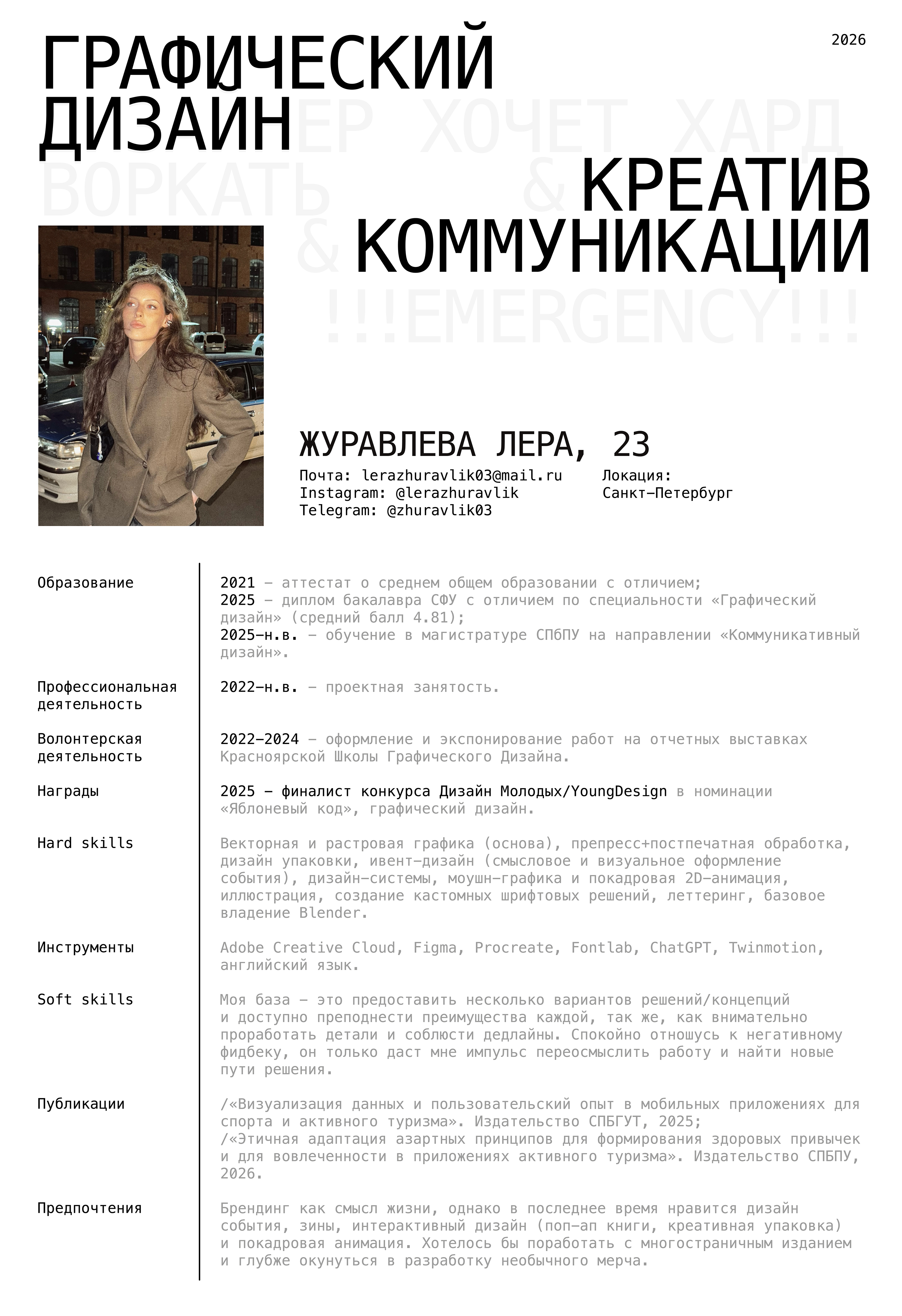 Резюме + портфолио — Изображение №1 — Брендинг, Графика на Dprofile