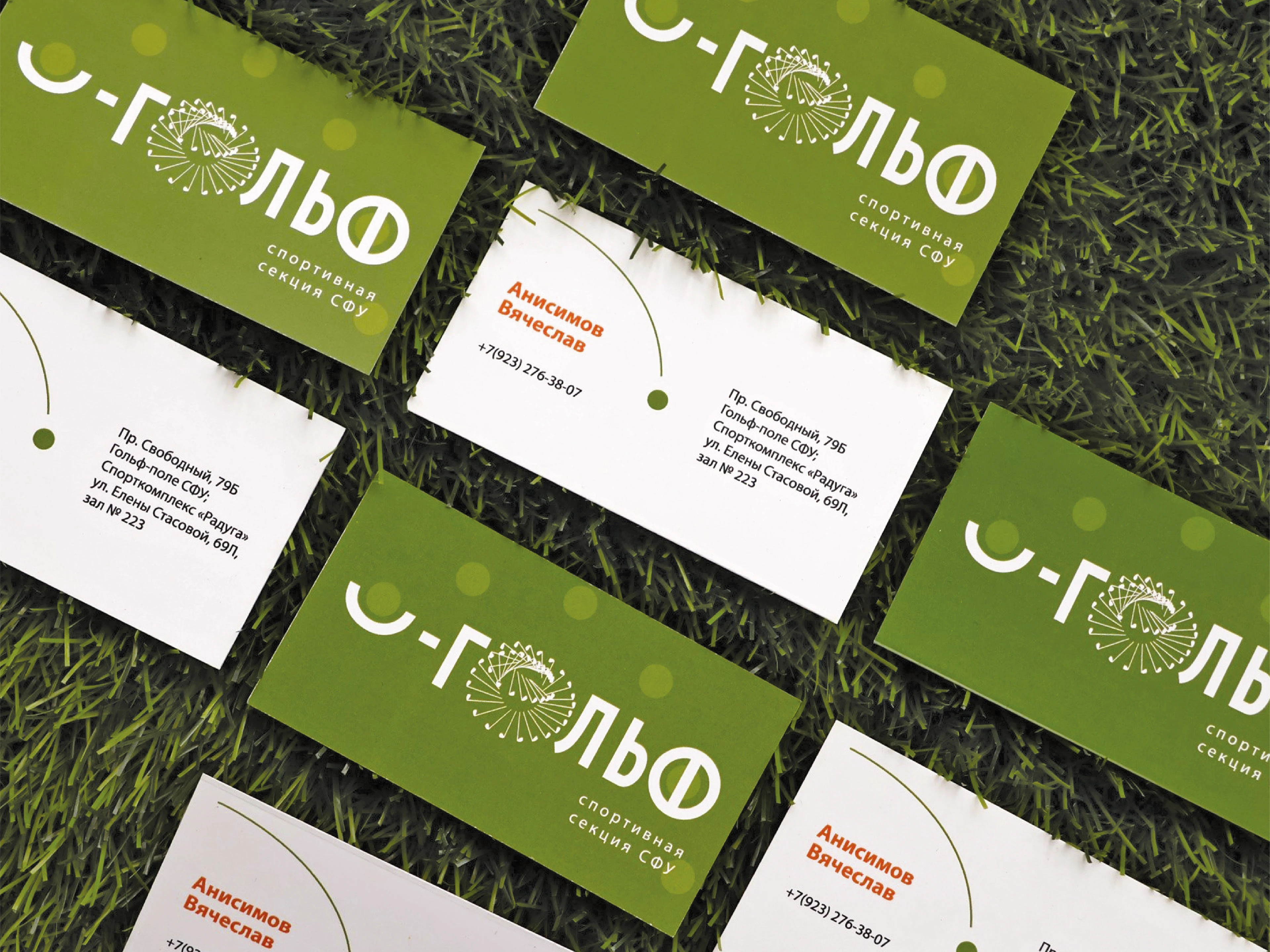 Резюме + портфолио — Изображение №30 — Брендинг, Графика на Dprofile