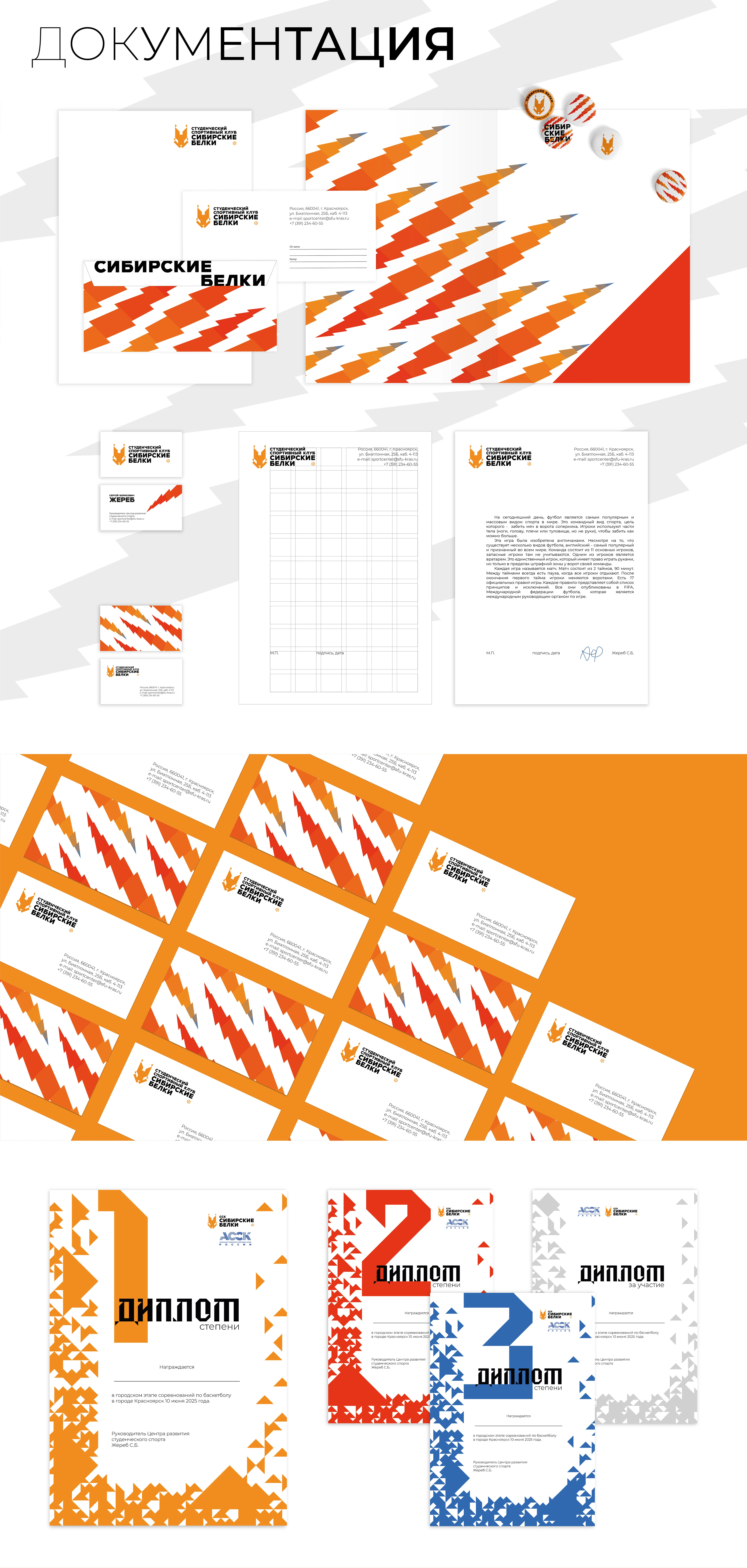 Резюме + портфолио — Изображение №162 — Брендинг, Графика на Dprofile