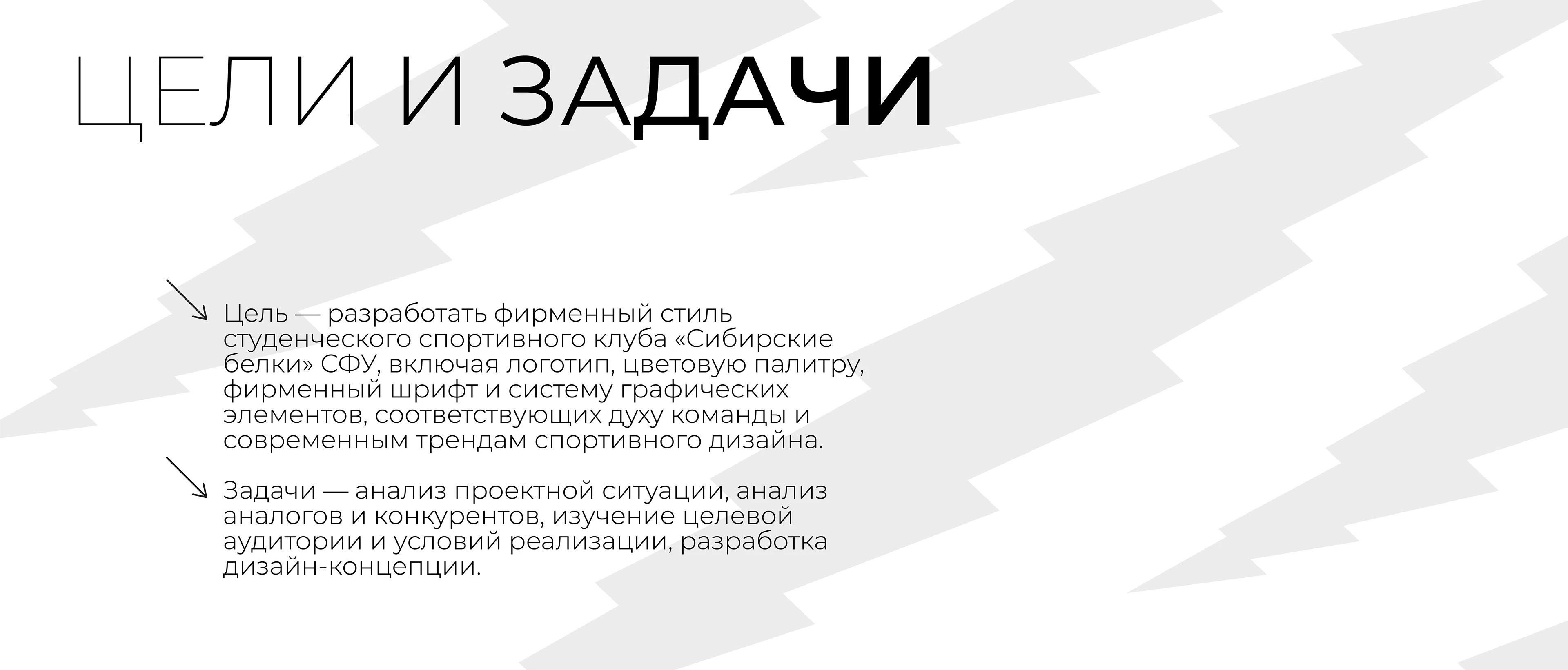 Айдентика и рекламно-графический комплекс ССК "Сибирские белки" СФУ — Изображение №2 — Брендинг, Графика на Dprofile