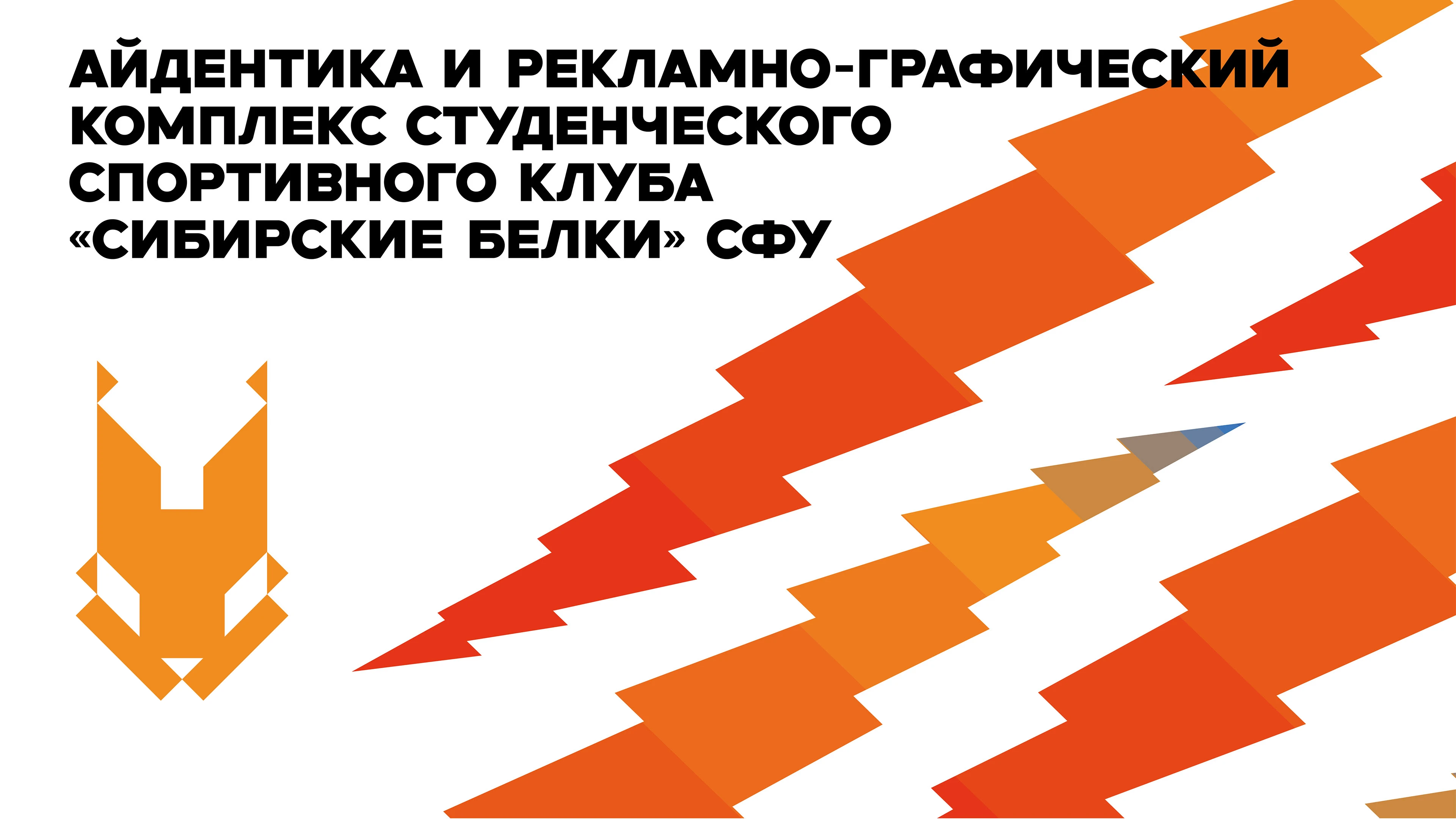 Айдентика и рекламно-графический комплекс ССК "Сибирские белки" СФУ — Изображение №1 — Брендинг, Графика на Dprofile