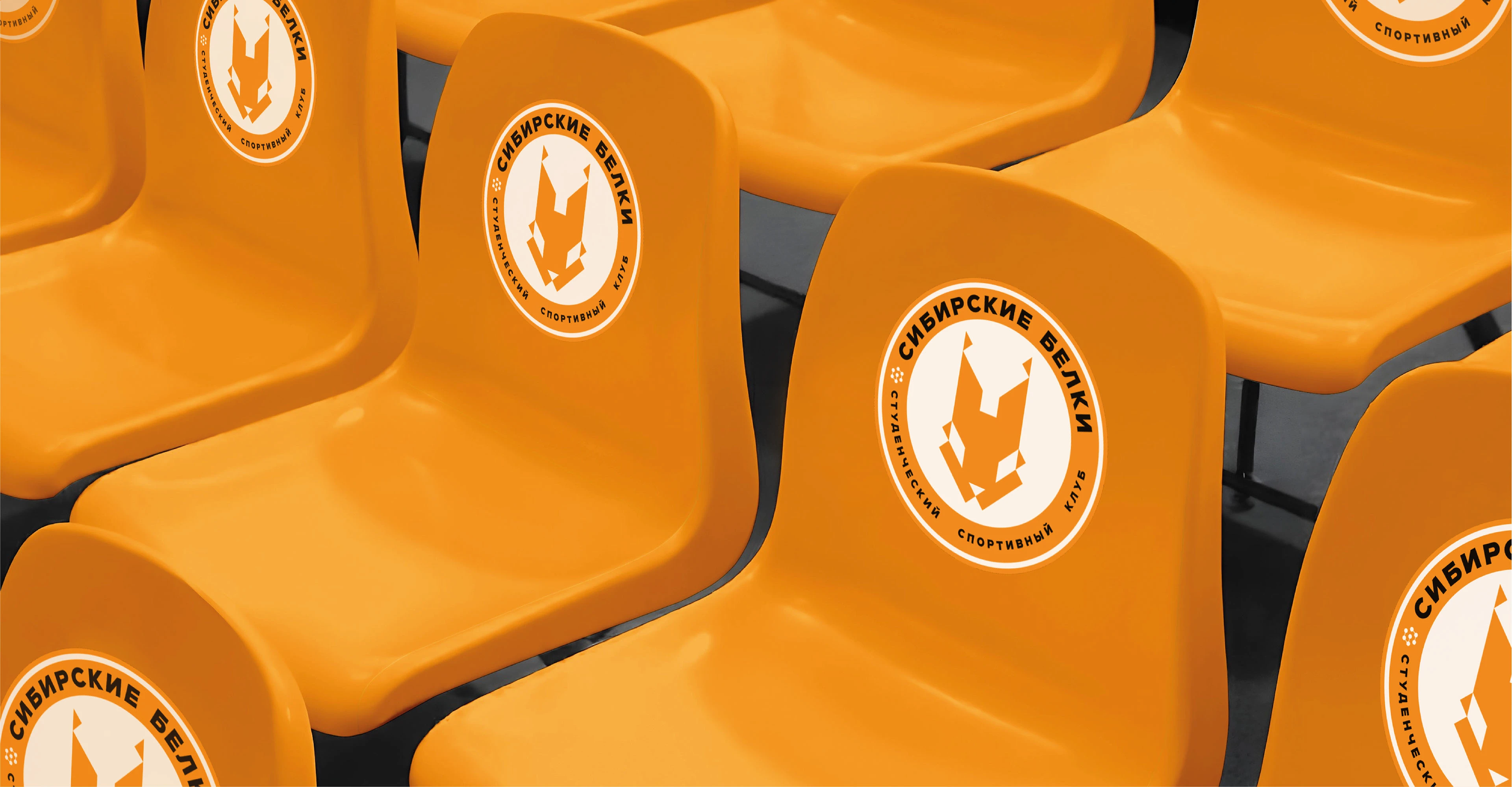 Резюме + портфолио — Изображение №165 — Брендинг, Графика на Dprofile