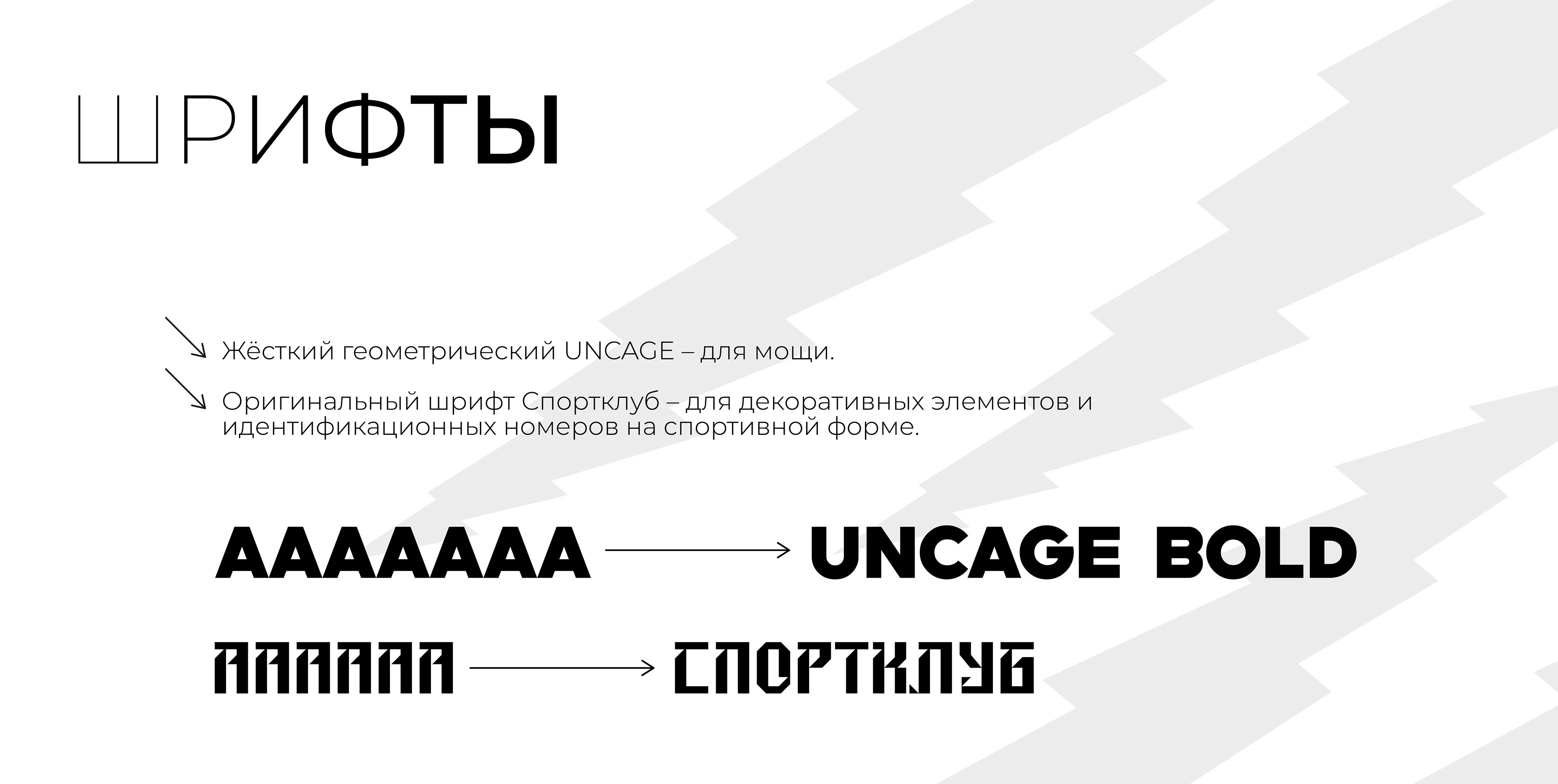 Айдентика и рекламно-графический комплекс ССК "Сибирские белки" СФУ — Изображение №8 — Брендинг, Графика на Dprofile