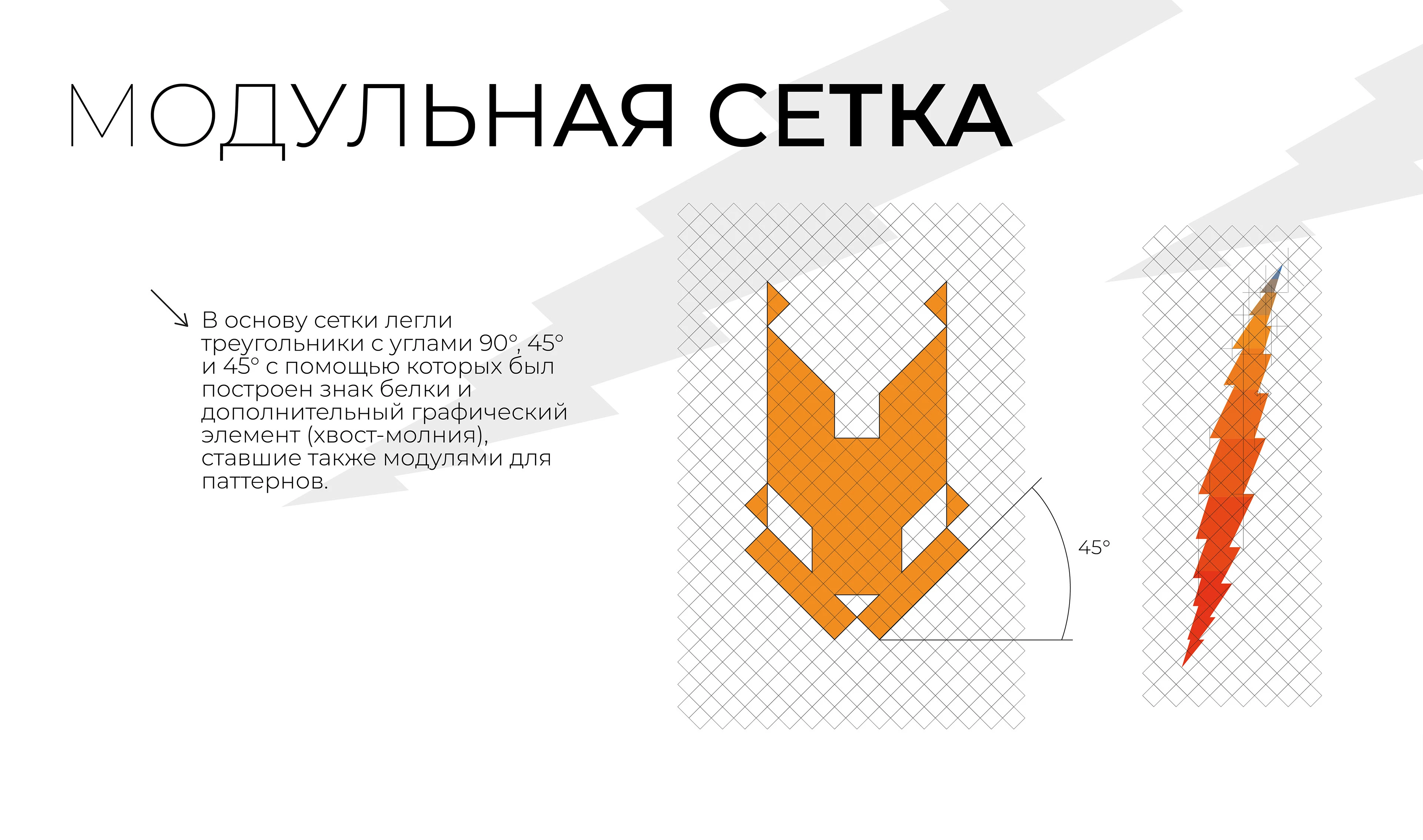 Айдентика и рекламно-графический комплекс ССК "Сибирские белки" СФУ — Изображение №4 — Брендинг, Графика на Dprofile