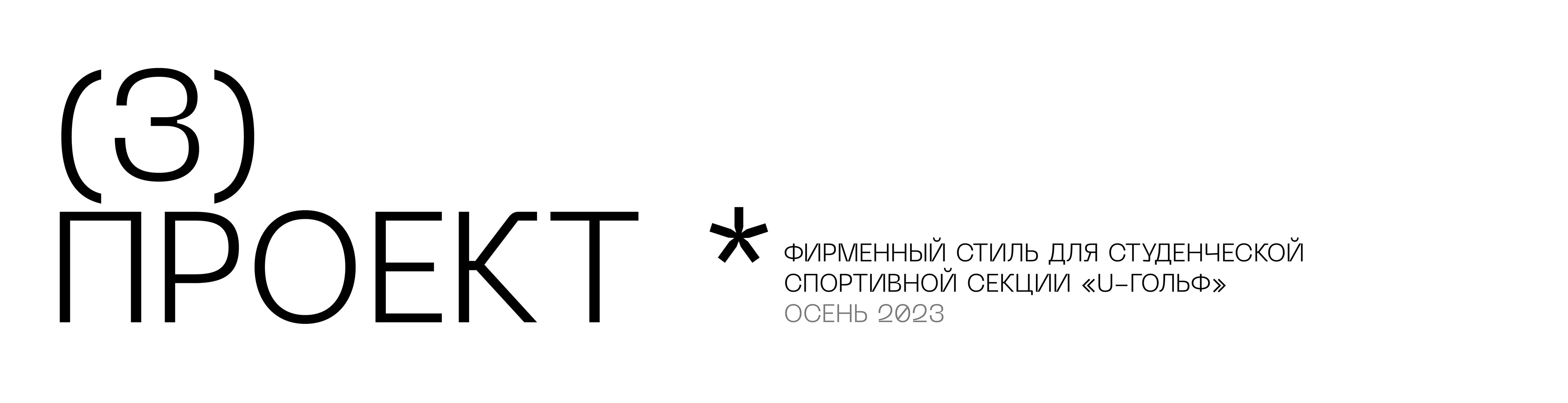 Резюме + портфолио — Изображение №21 — Брендинг, Графика на Dprofile