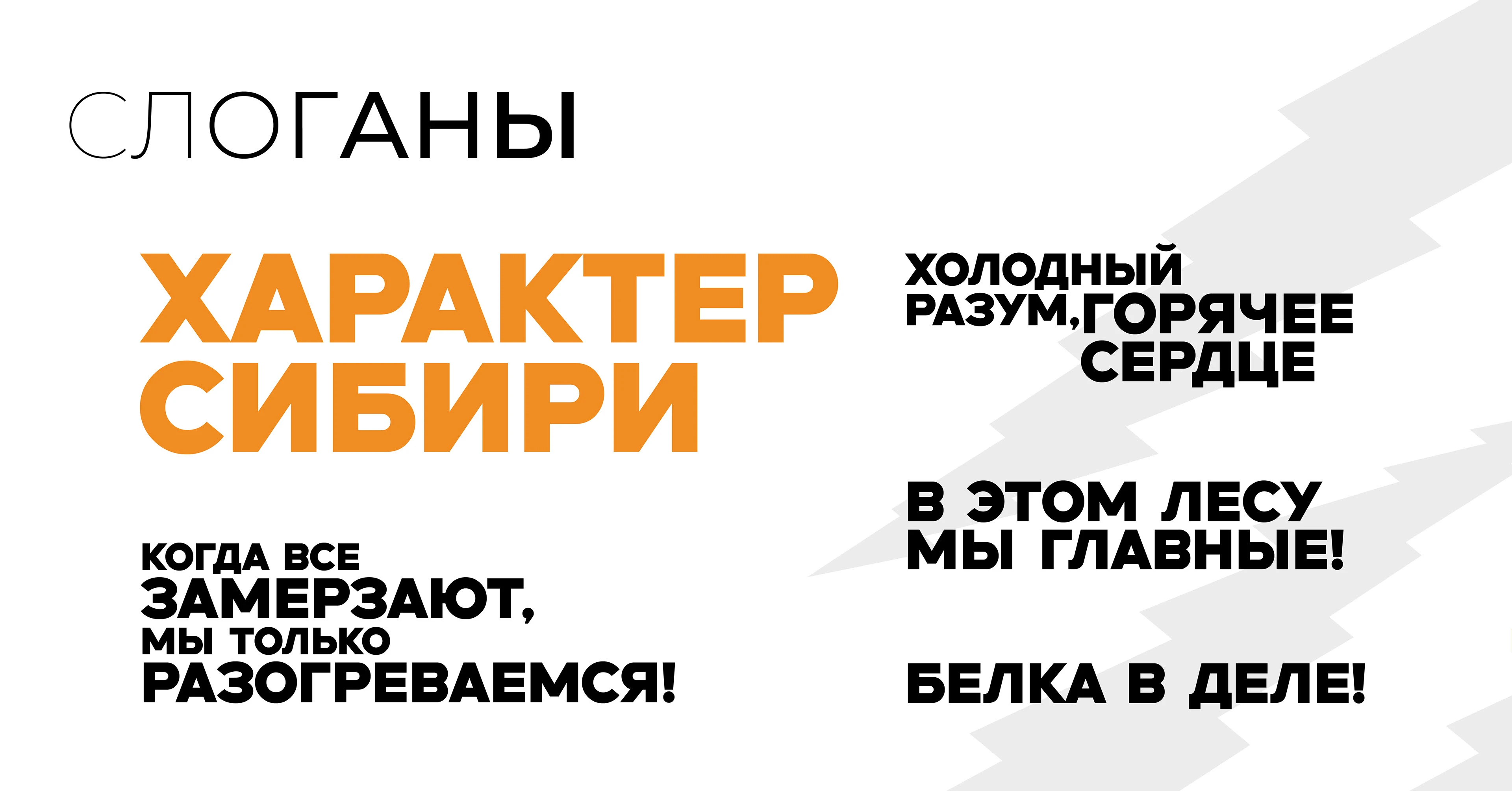 Айдентика и рекламно-графический комплекс ССК "Сибирские белки" СФУ — Изображение №7 — Брендинг, Графика на Dprofile