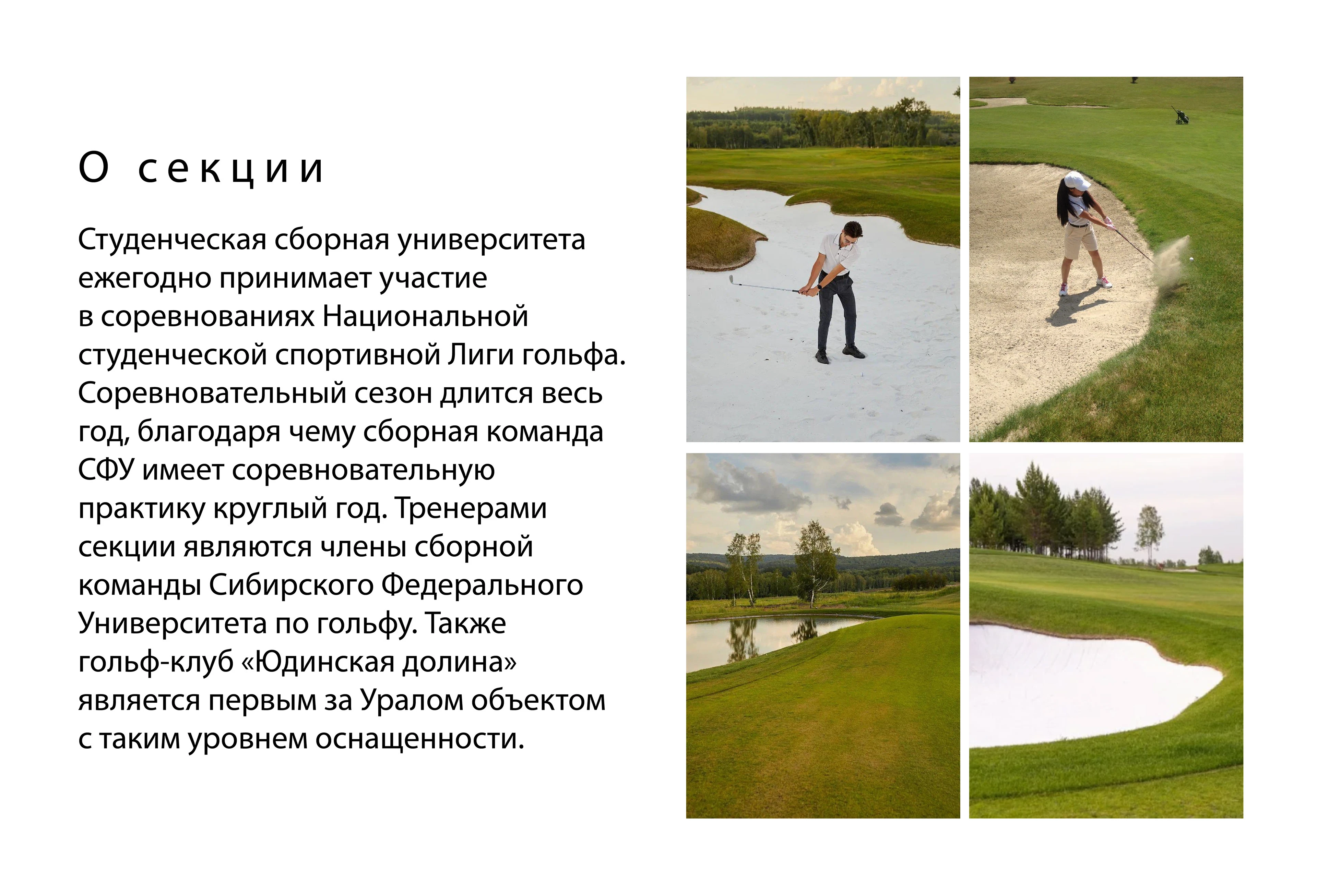 Резюме + портфолио — Изображение №22 — Брендинг, Графика на Dprofile