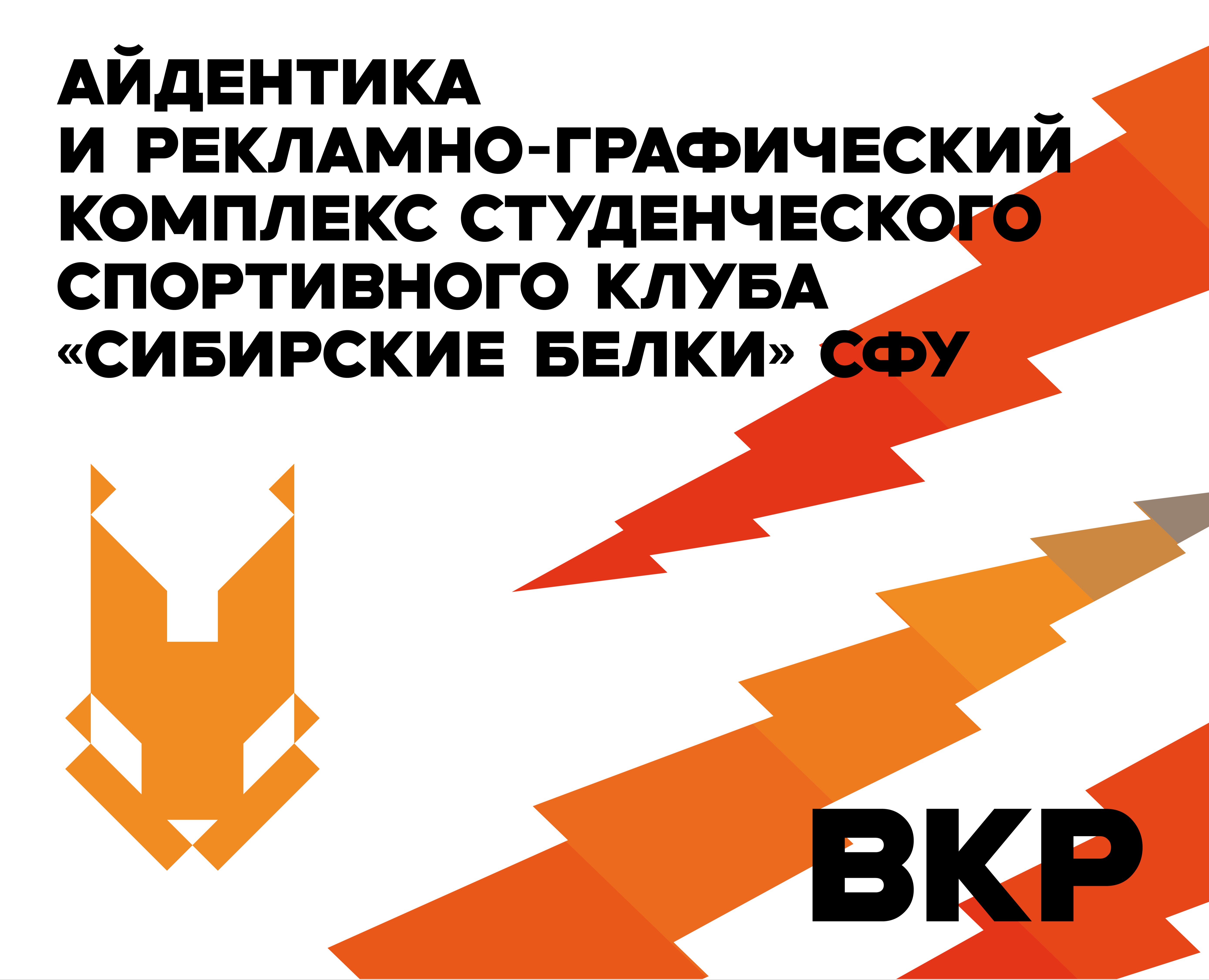Айдентика и рекламно-графический комплекс ССК "Сибирские белки" СФУ на Dprofile