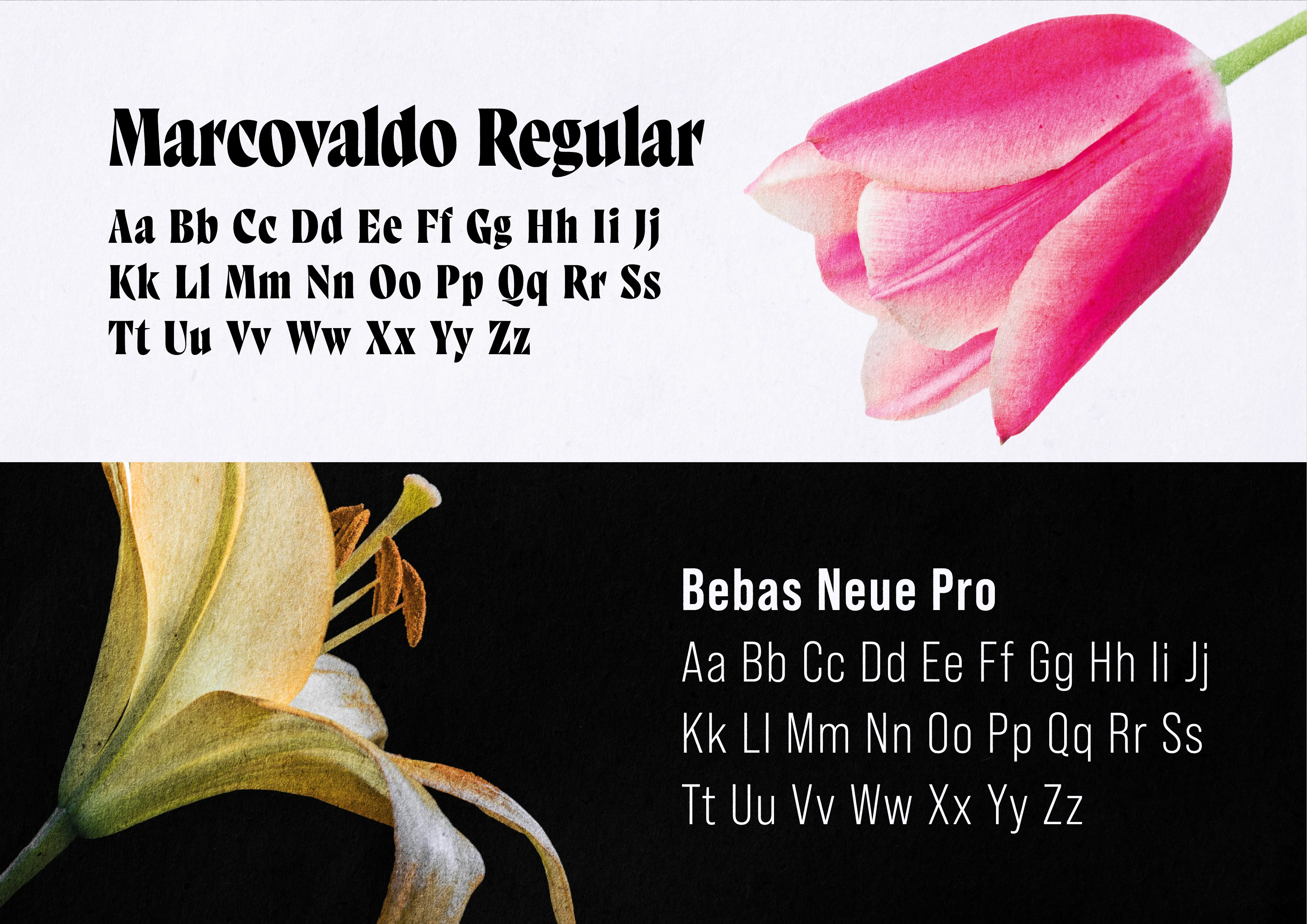 Bloom | Flower shop brand & identity — Изображение №5 — Брендинг на Dprofile