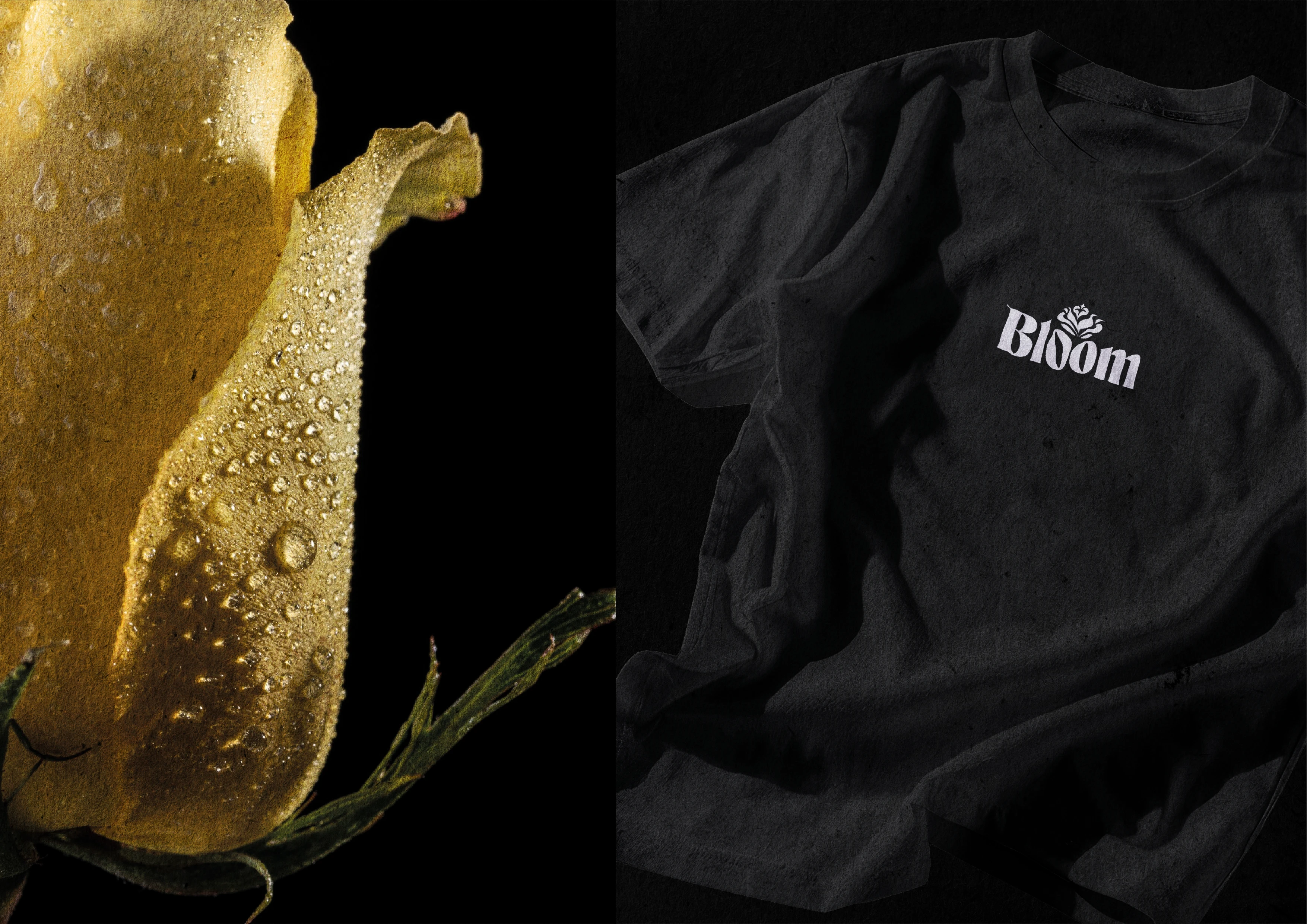 Bloom | Flower shop brand & identity — Изображение №12 — Брендинг на Dprofile