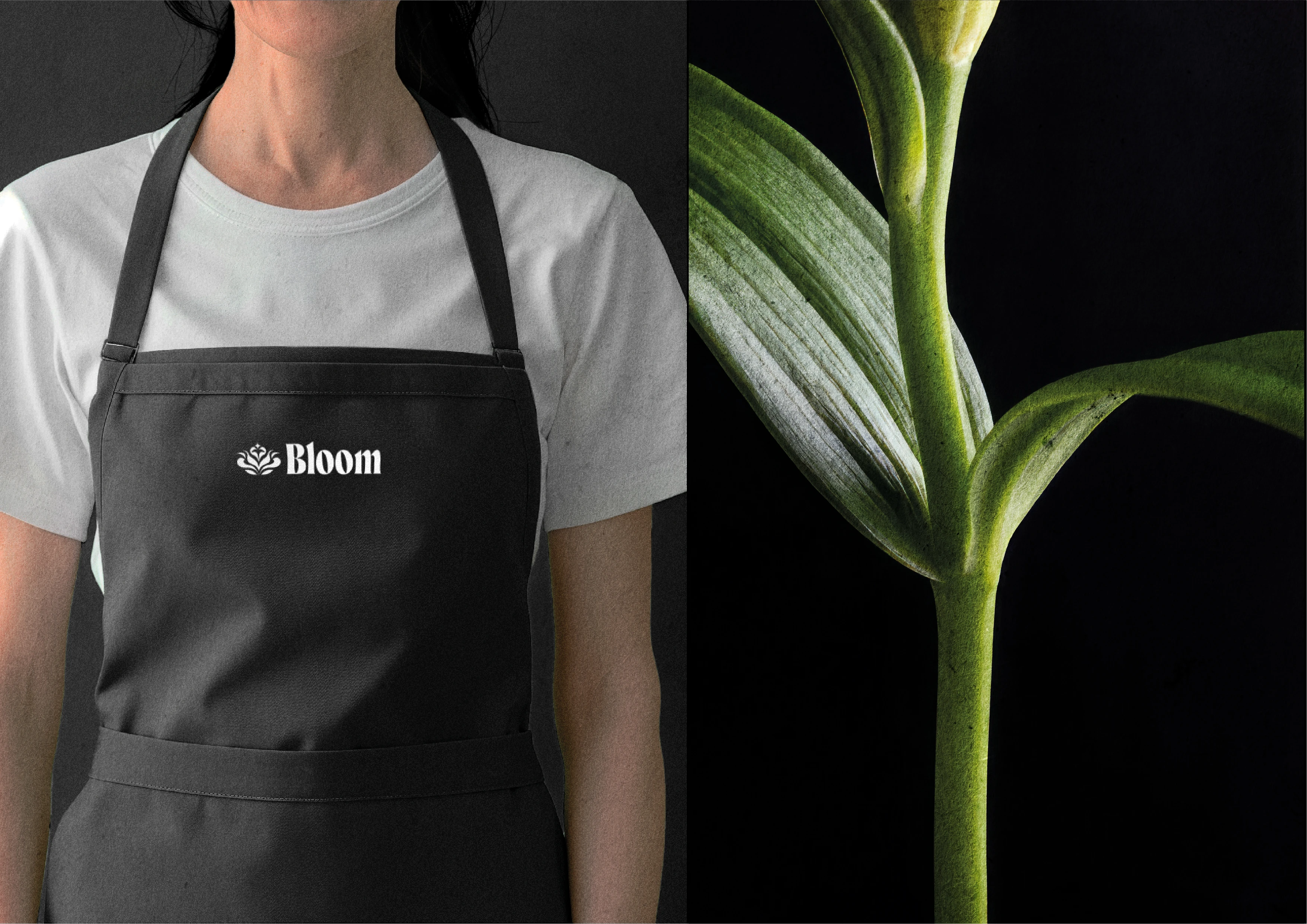 Bloom | Flower shop brand & identity — Изображение №11 — Брендинг на Dprofile