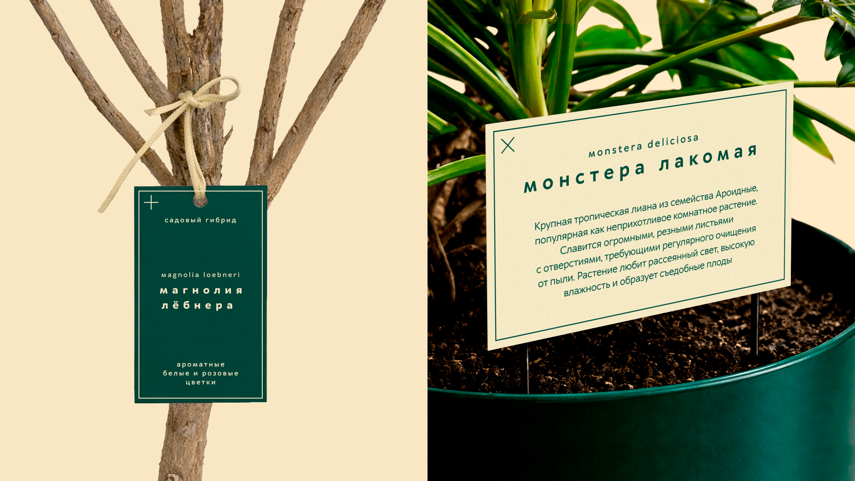 Ребрендинг Аптекарского огорода — Изображение №9 — Брендинг, Графика на Dprofile