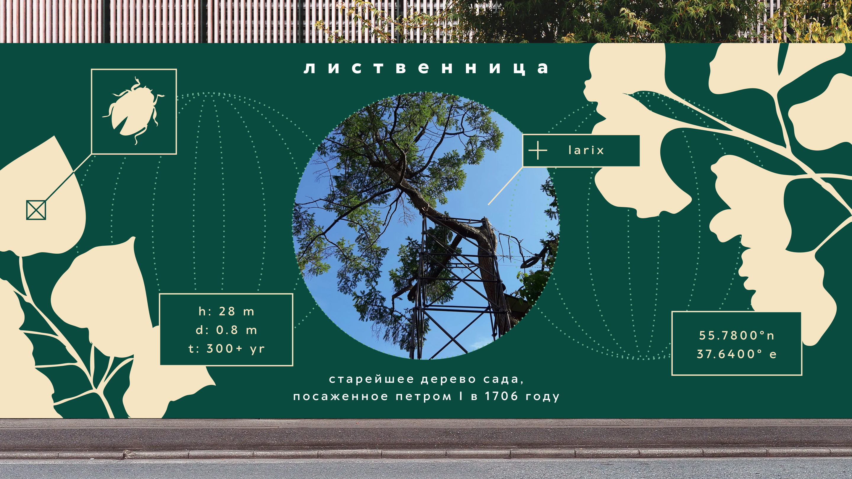 Ребрендинг Аптекарского огорода — Изображение №7 — Брендинг, Графика на Dprofile