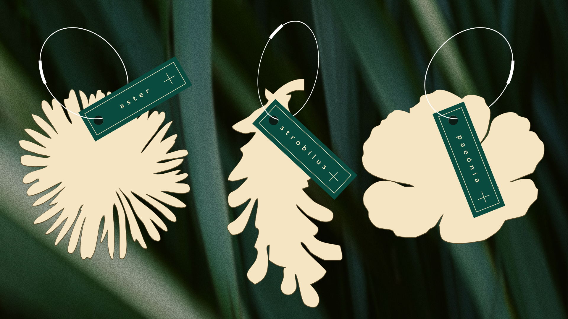 Ребрендинг Аптекарского огорода — Изображение №15 — Брендинг, Графика на Dprofile