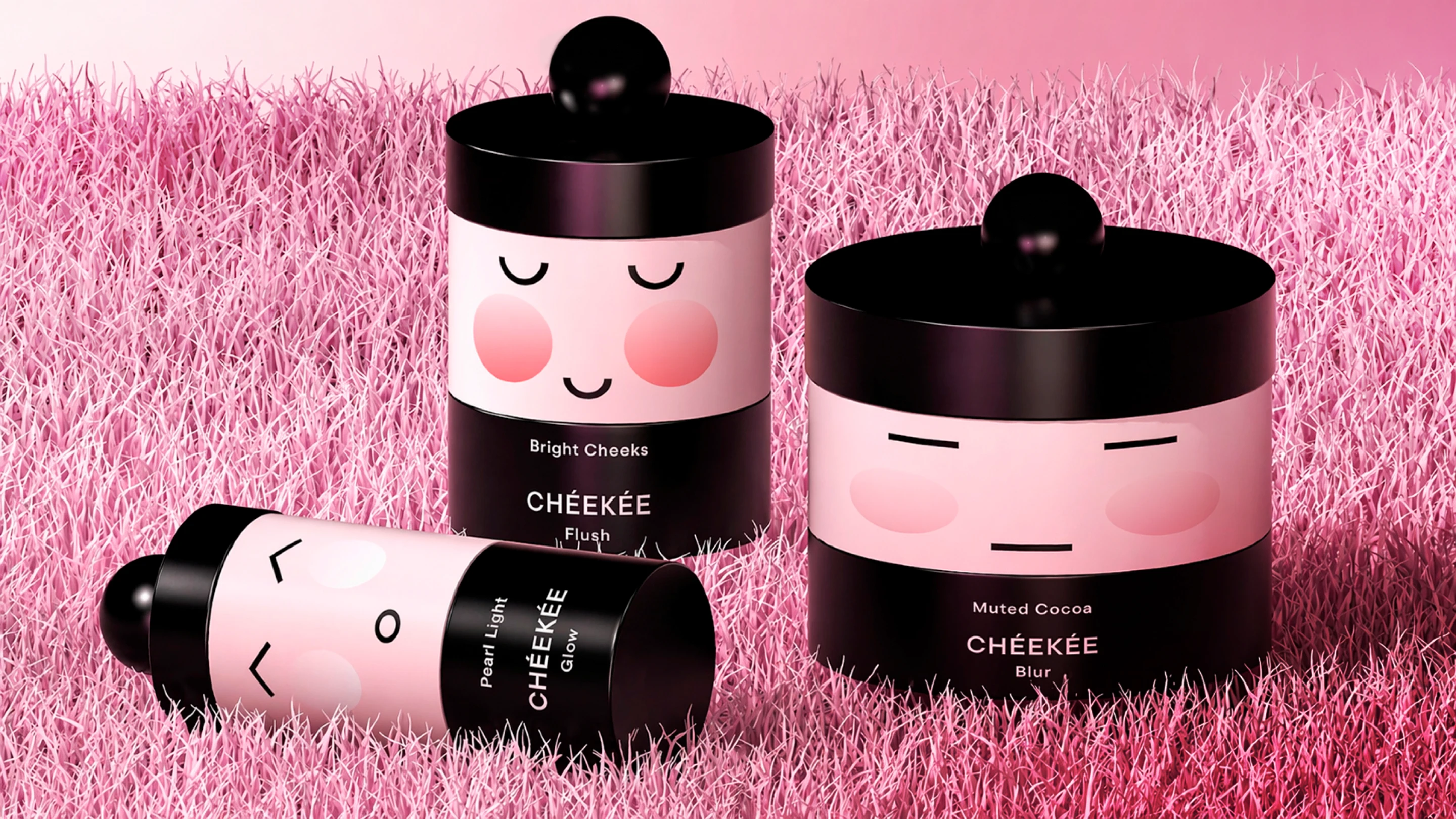 Бренд корейской косметики CHÉEKÉE — Изображение №1 — Брендинг, 3D на Dprofile