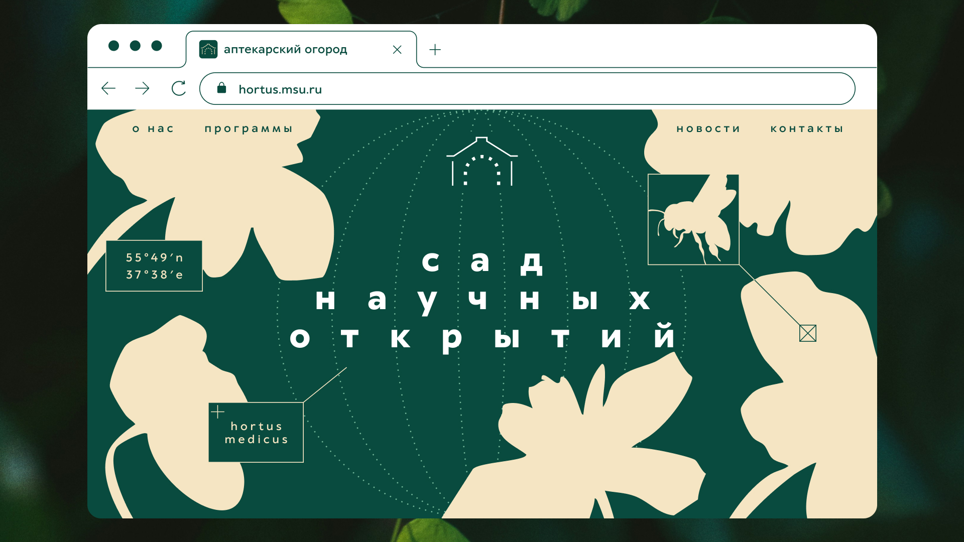 Ребрендинг Аптекарского огорода — Изображение №10 — Брендинг, Графика на Dprofile