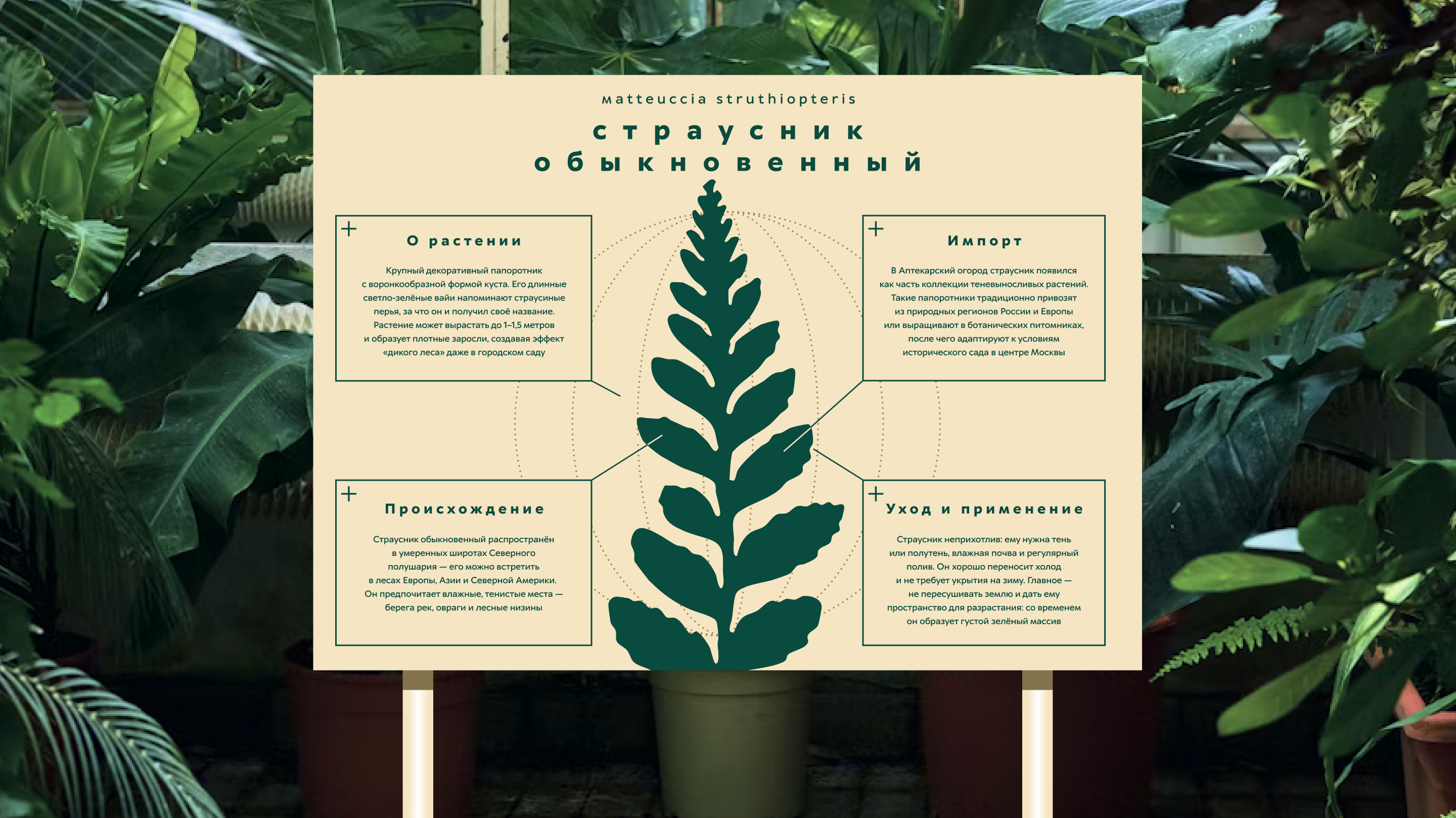 Ребрендинг Аптекарского огорода — Изображение №8 — Брендинг, Графика на Dprofile