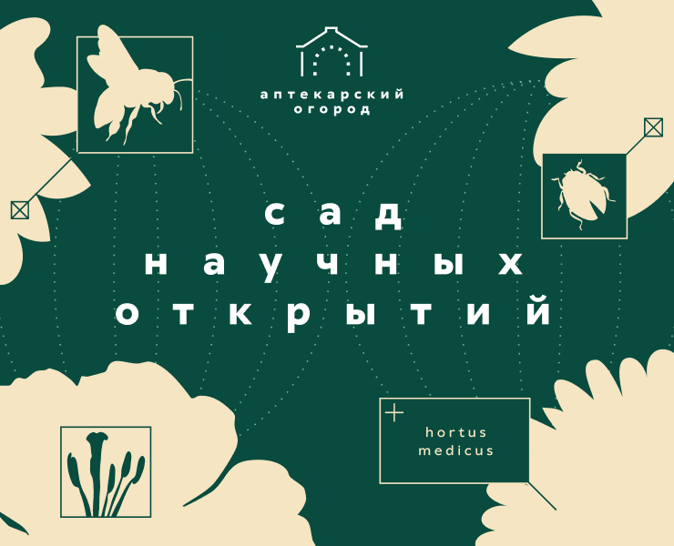 Ребрендинг Аптекарского огорода на Dprofile