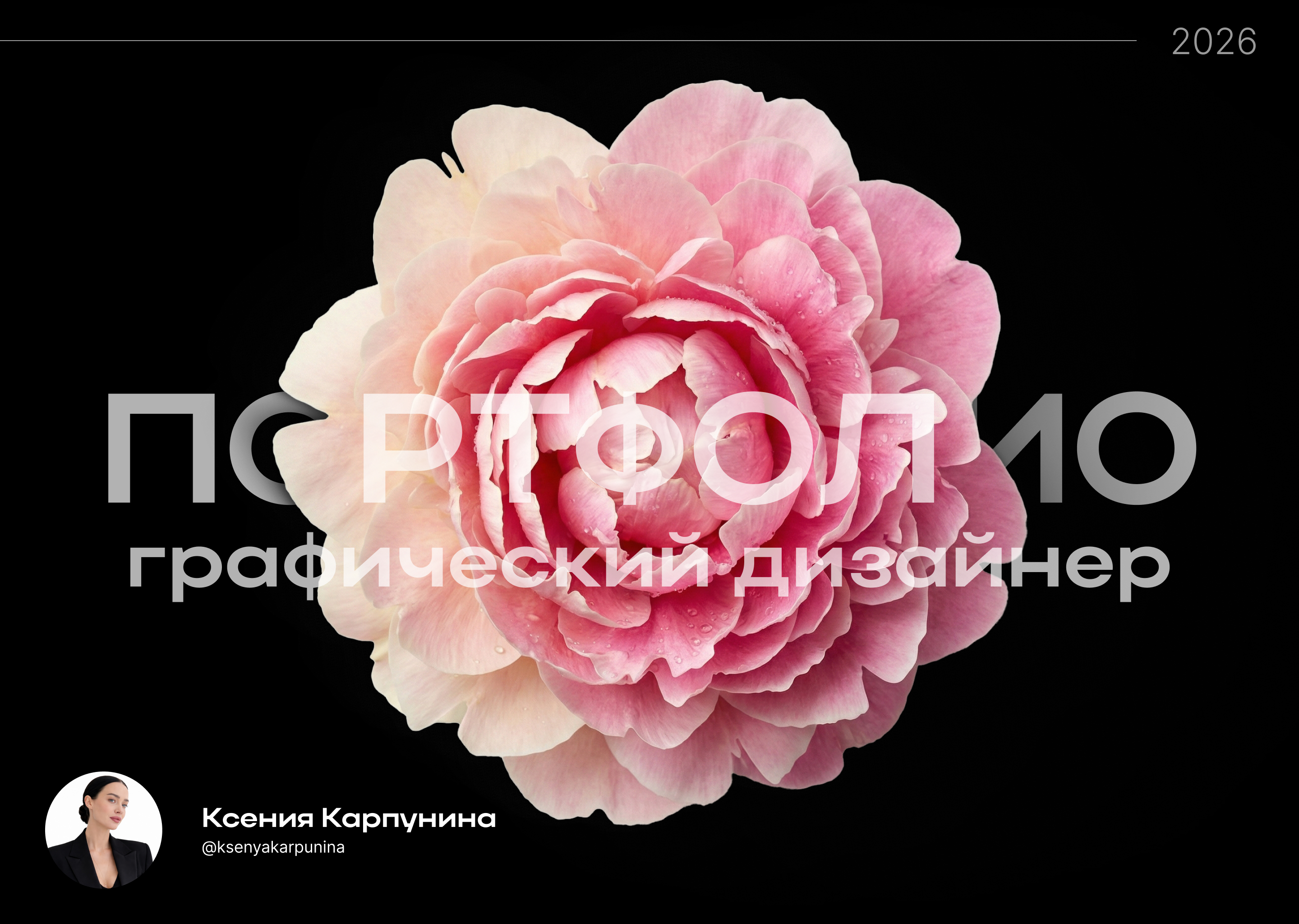 Портфолио — Изображение №1 — Брендинг на Dprofile