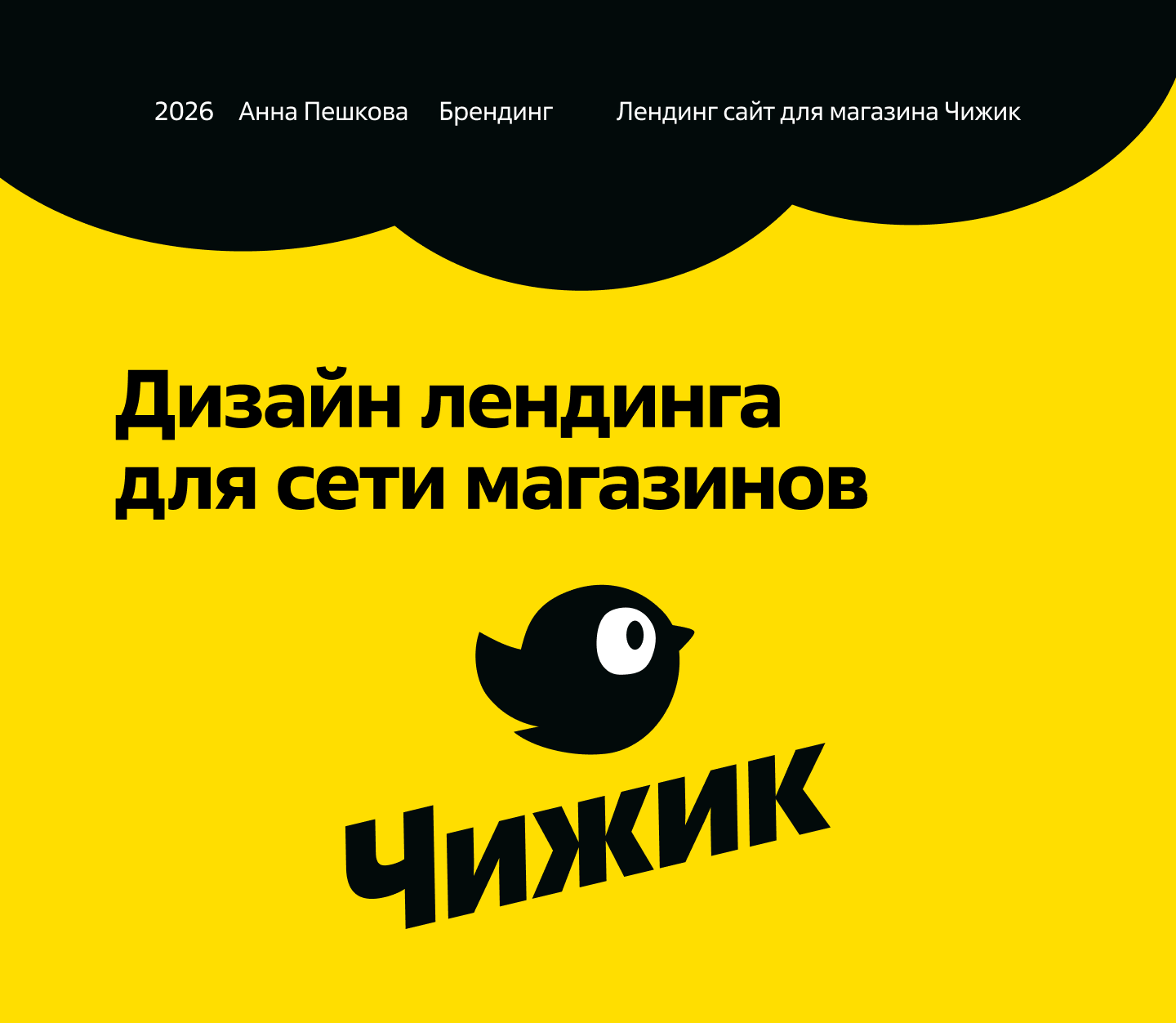 Лендинг для сети магазина «Чижик» — Изображение №1 — Интерфейсы, Брендинг на Dprofile