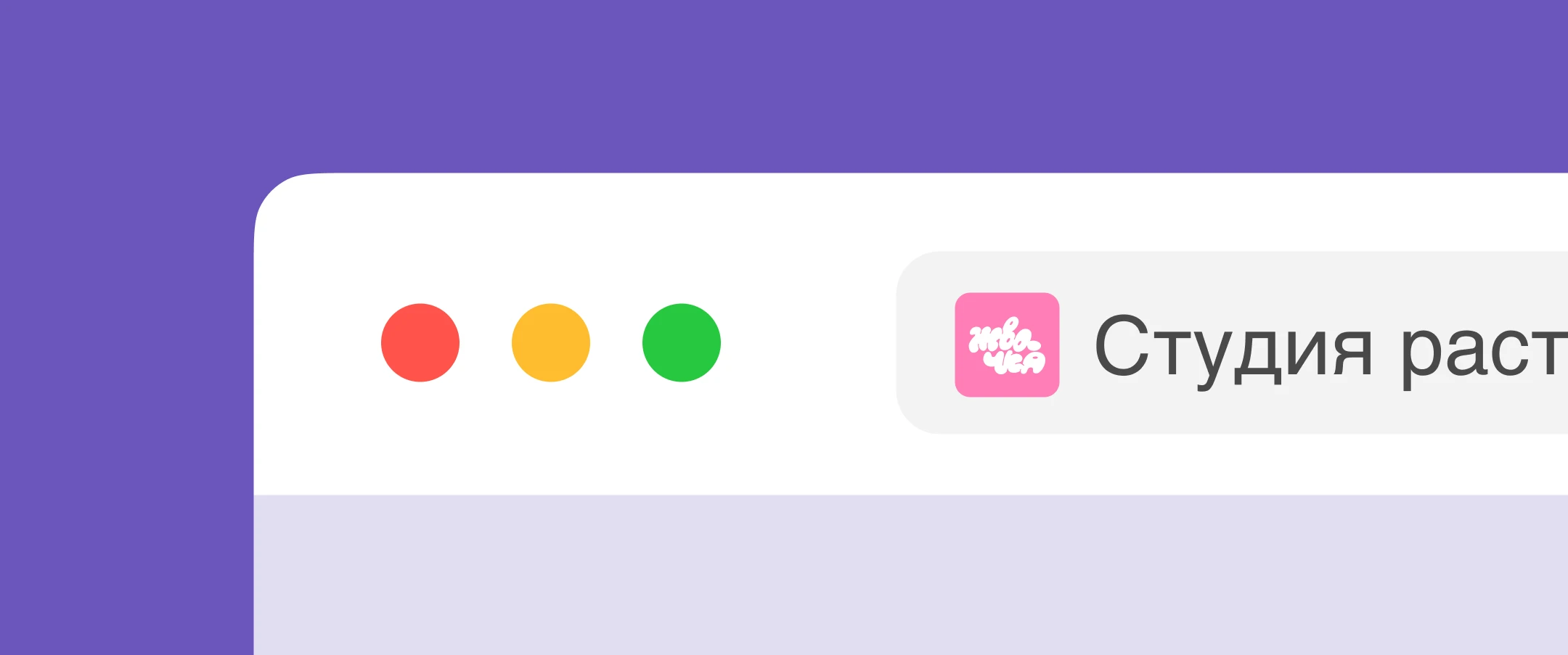Брендинг студии растяжки ЖВАЧКА — Изображение №10 — Брендинг на Dprofile