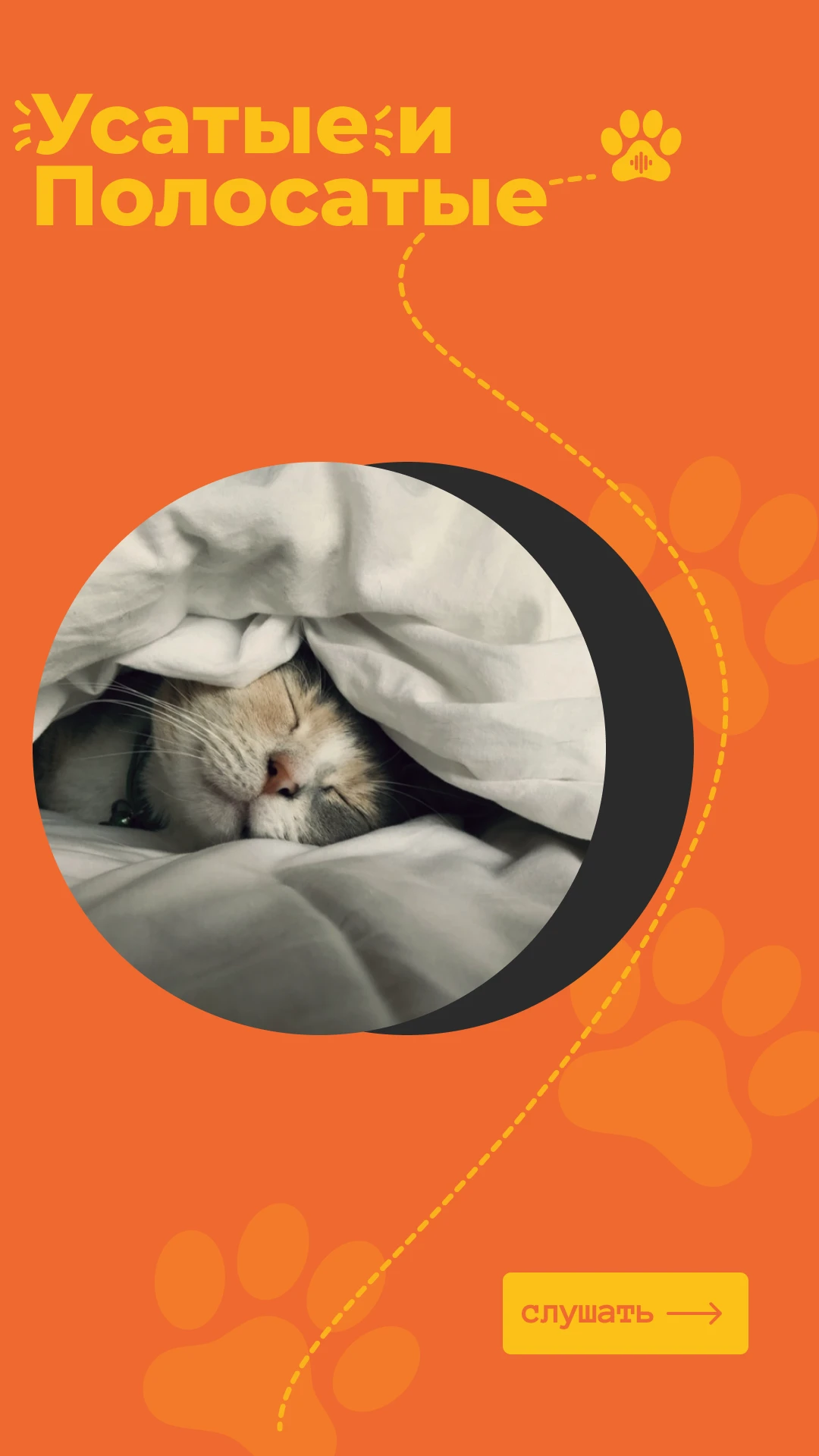 Оформление подкаста — Изображение №6 — Графика, Маркетинг на Dprofile