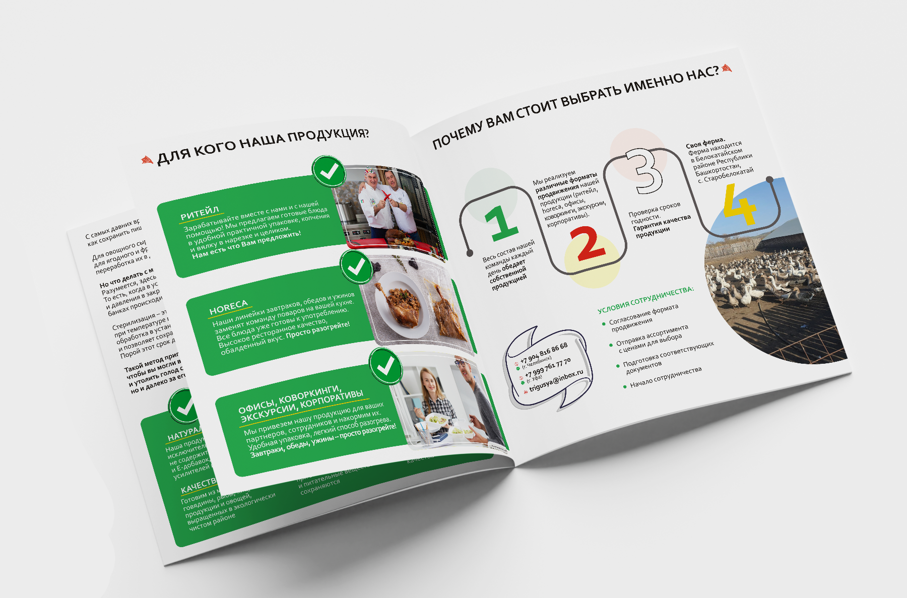 Каталог — Изображение №1 — Графика на Dprofile