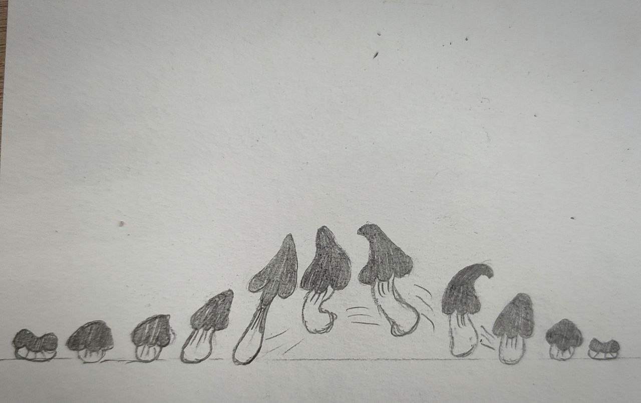 Мои работы — Изображение №3 — Иллюстрация на Dprofile