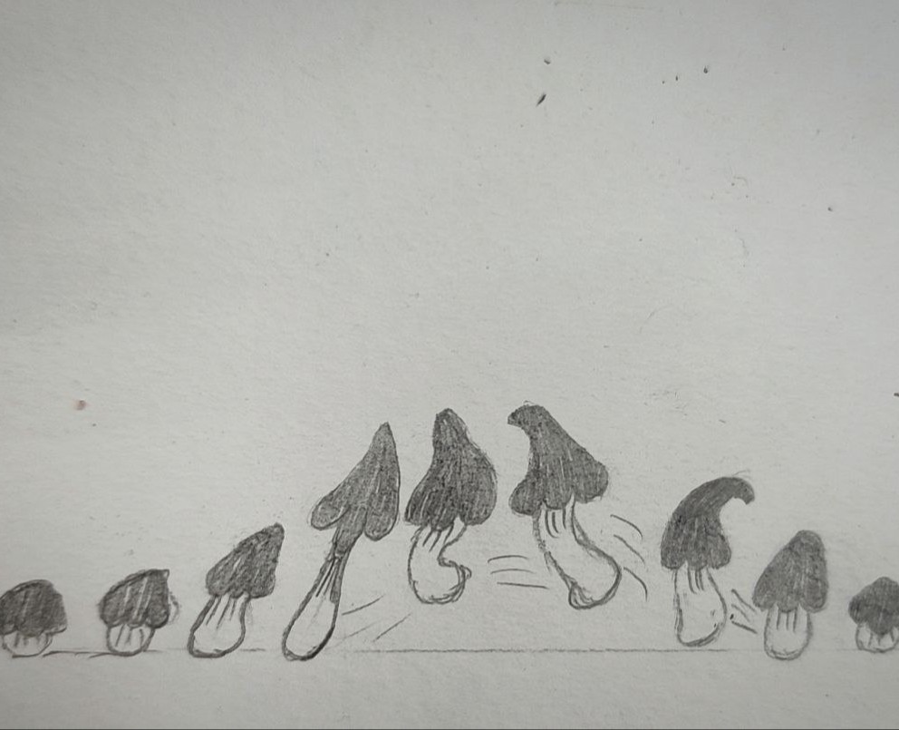 Мои работы на Dprofile