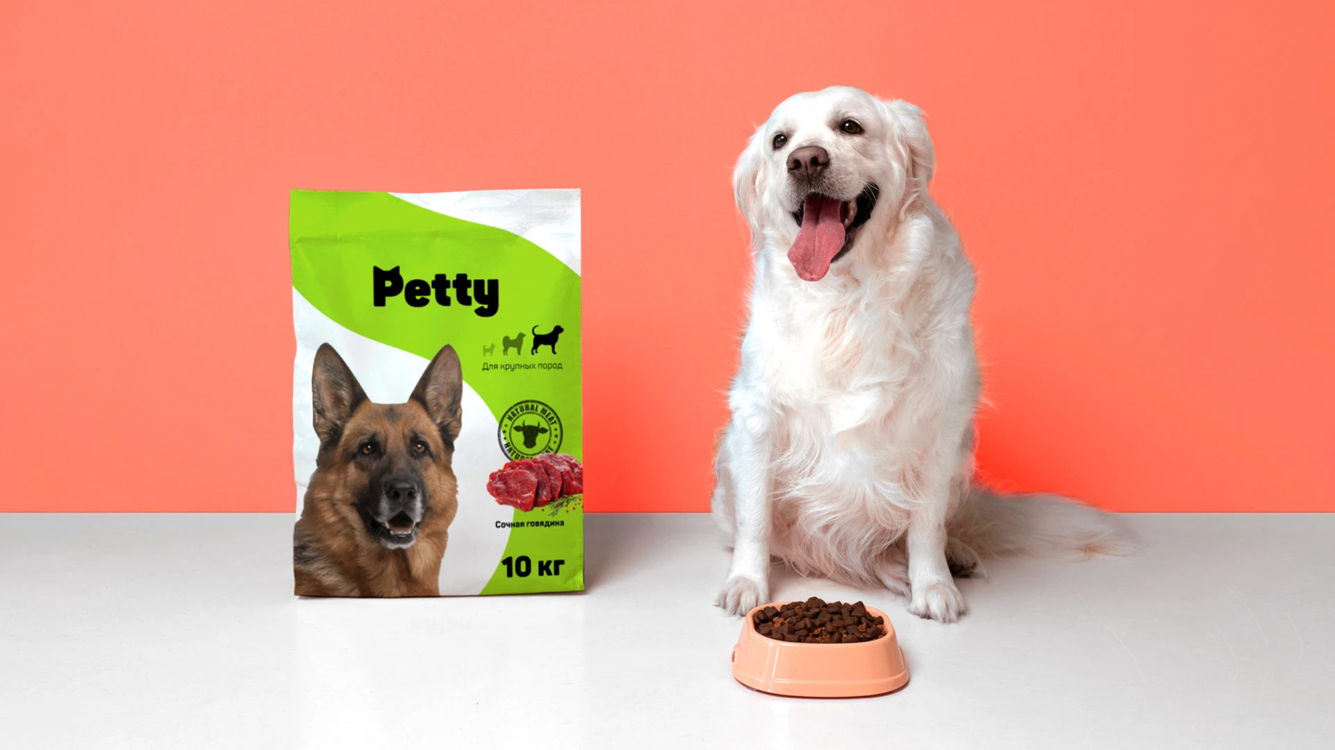 Логотип и фирменный стиль для зоомагазина Petty — Изображение №10 — Брендинг на Dprofile