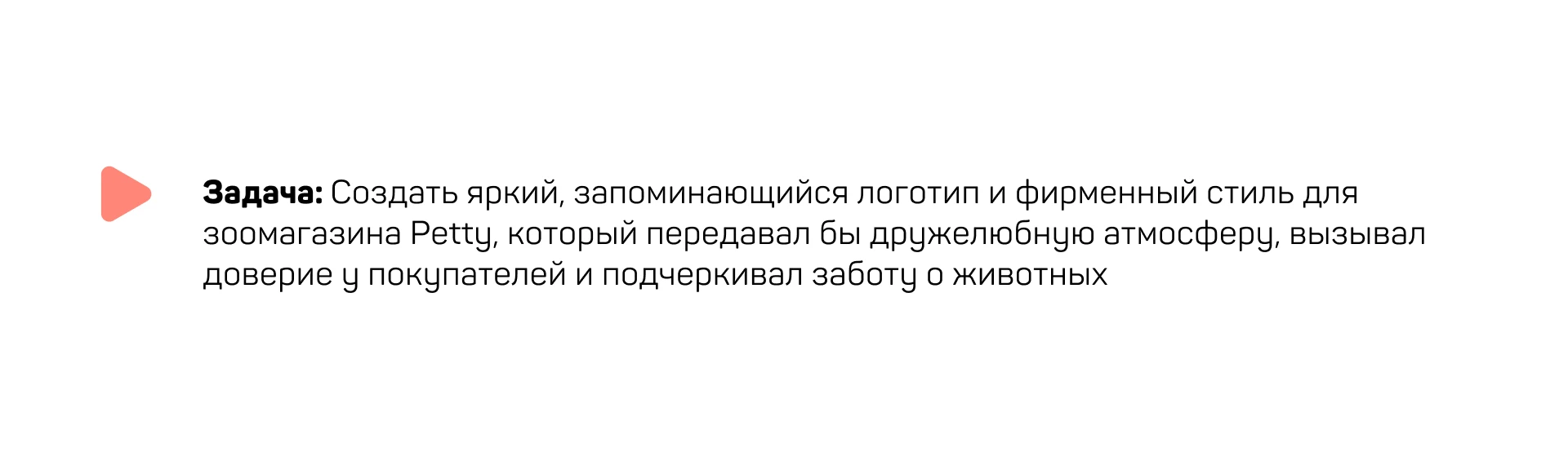 Логотип и фирменный стиль для зоомагазина Petty — Изображение №2 — Брендинг на Dprofile