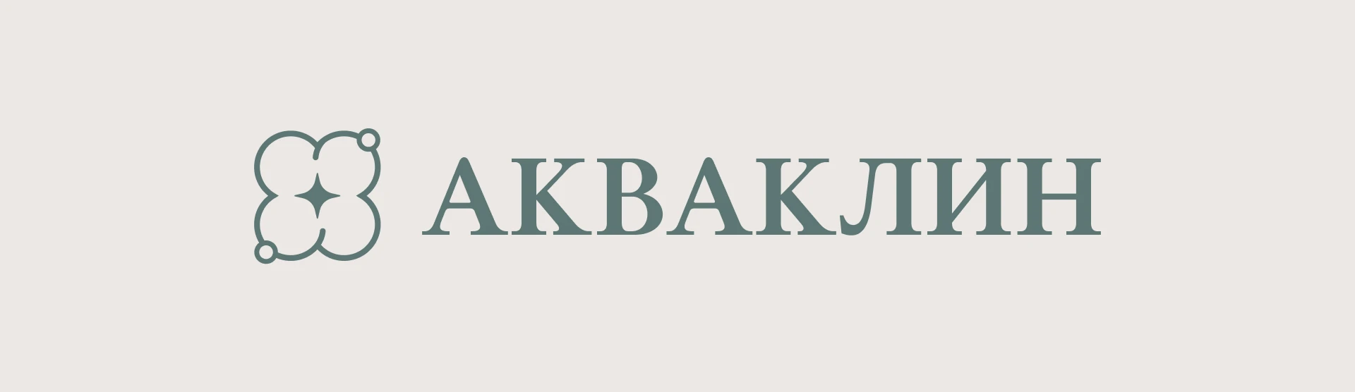 Логотип клининговой компании — Изображение №3 — Брендинг, Графика на Dprofile