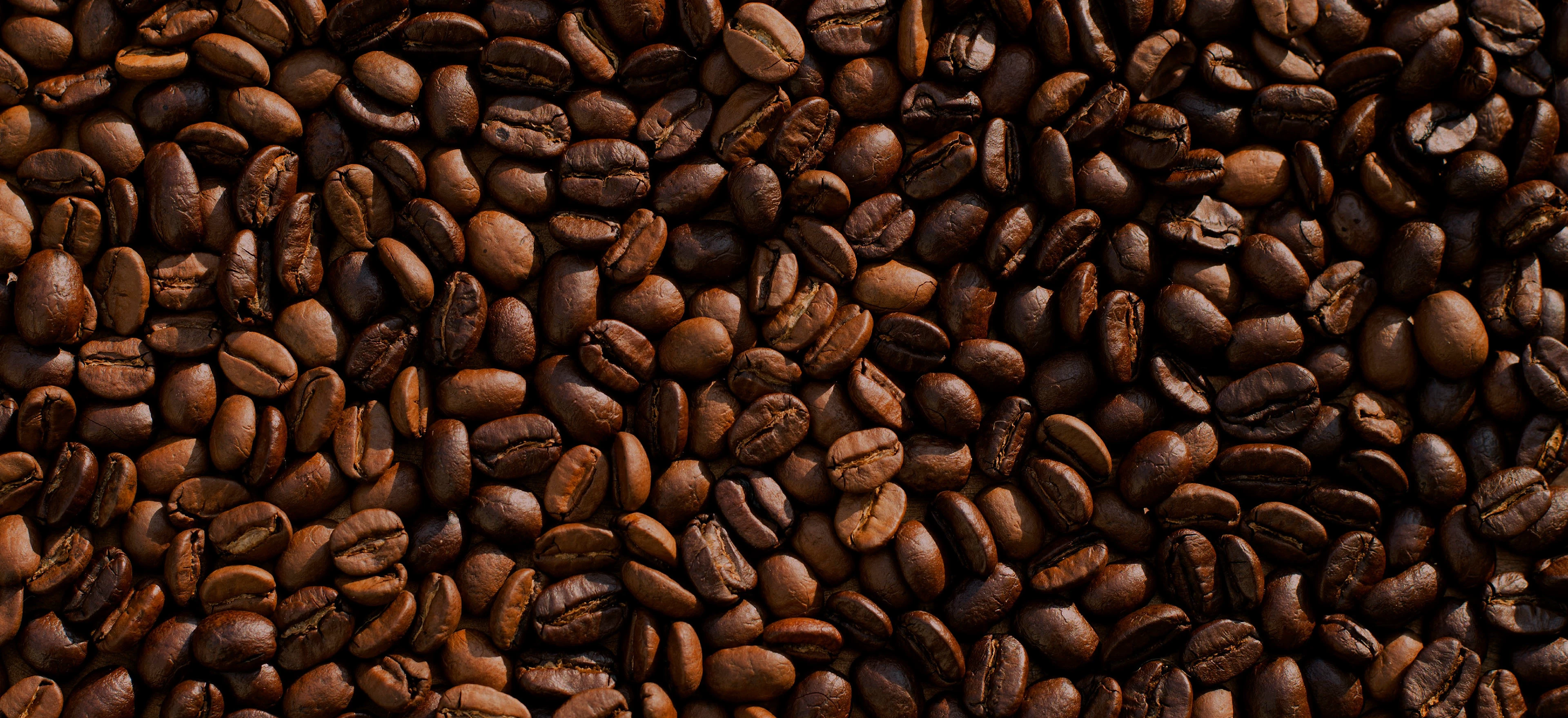 Визуальная айдентика для кофейни — Изображение №5 — Брендинг на Dprofile