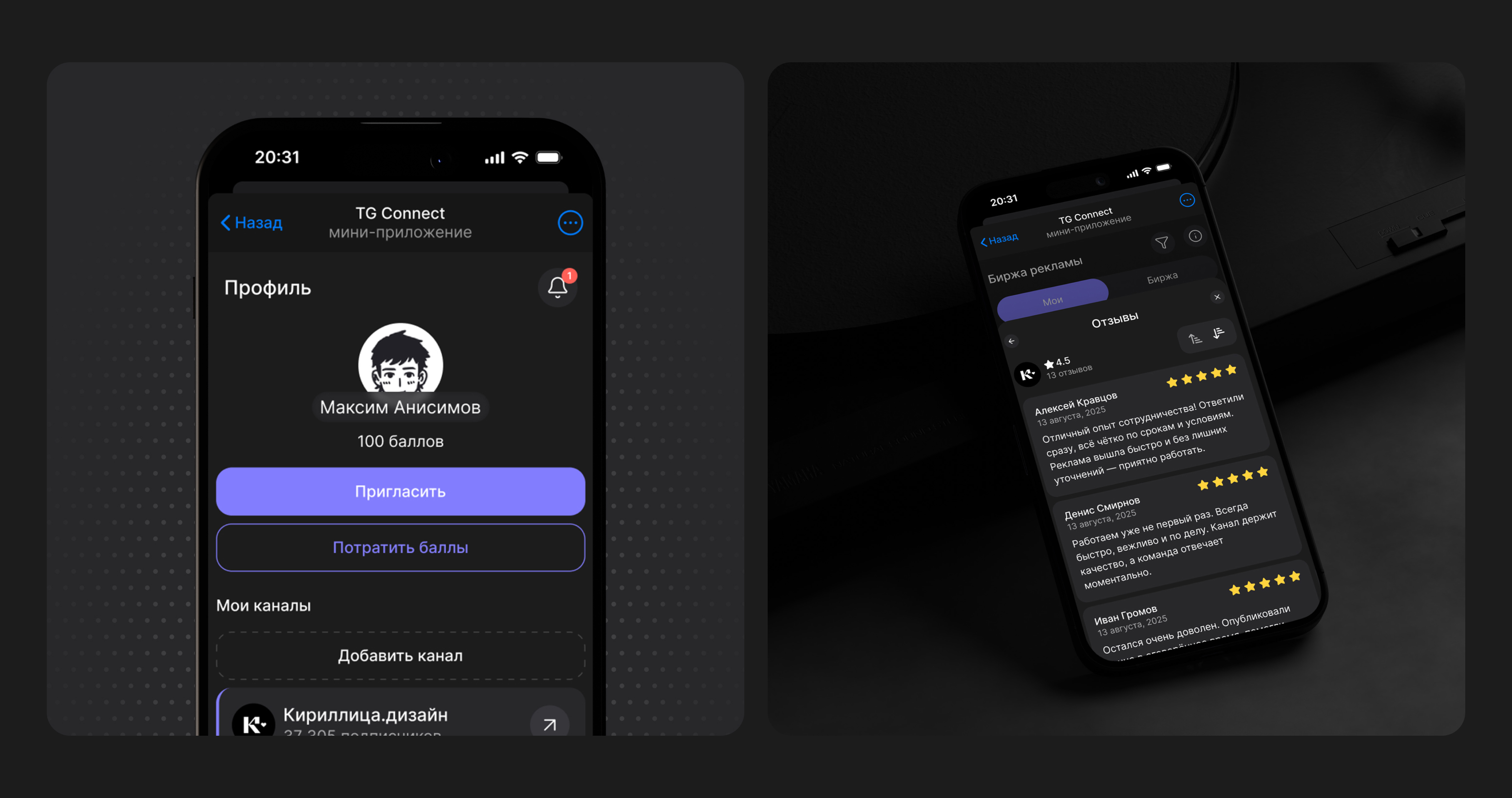 TG Connect - Платформа для рекламы — Изображение №5 — Интерфейсы, Брендинг на Dprofile