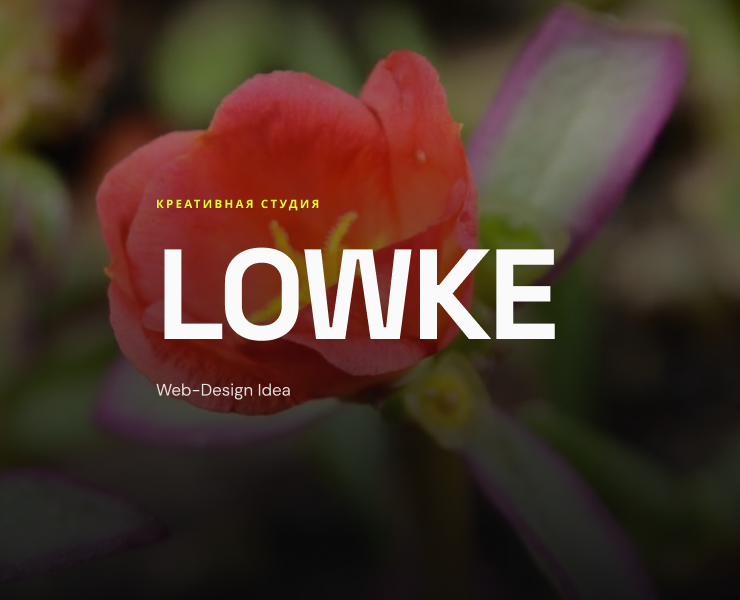 Web-Design Idea For Lowke Studio Design на Dprofile