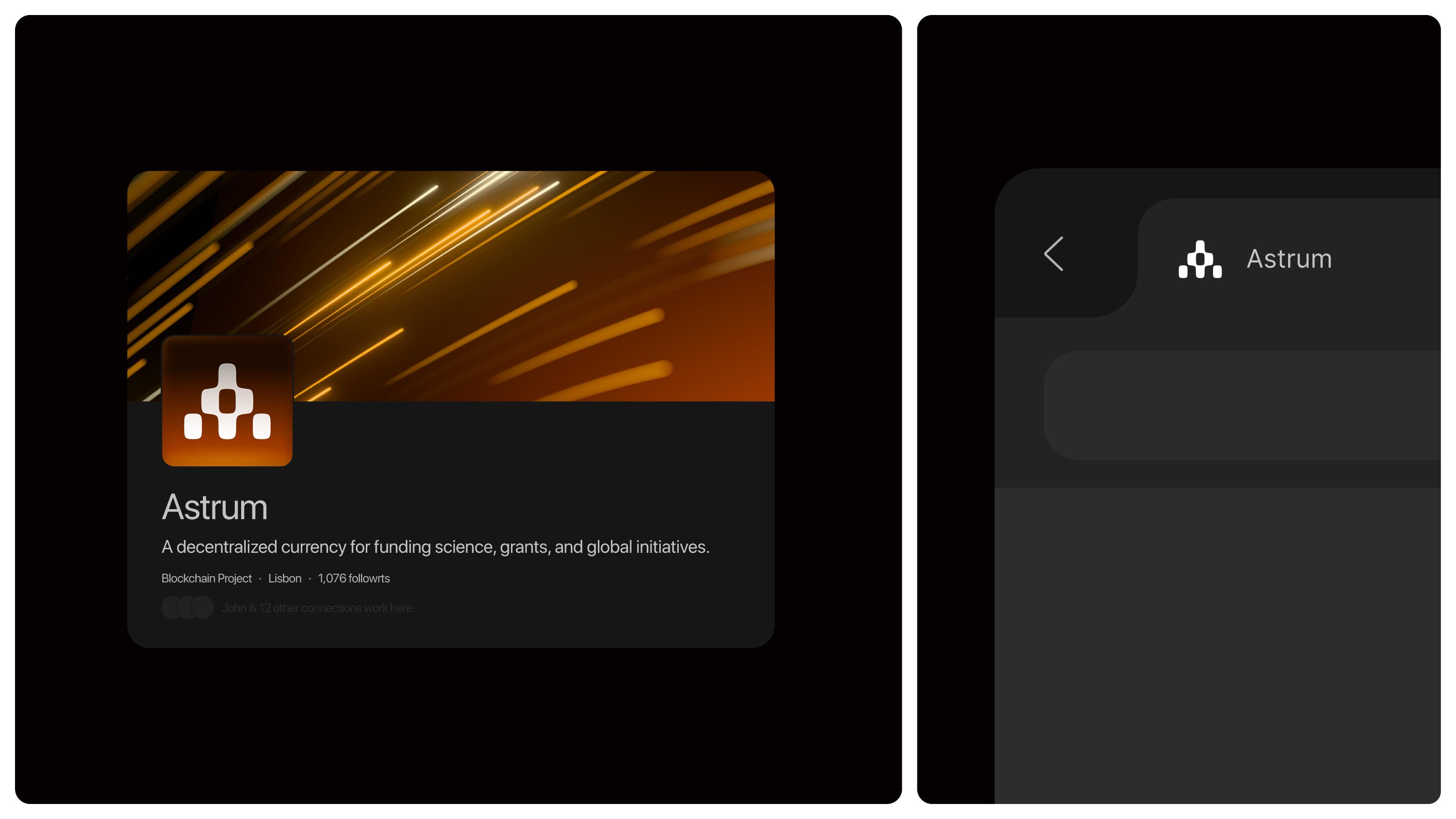 Astra | Logo Design & Brand Identity — Изображение №10 — Брендинг на Dprofile