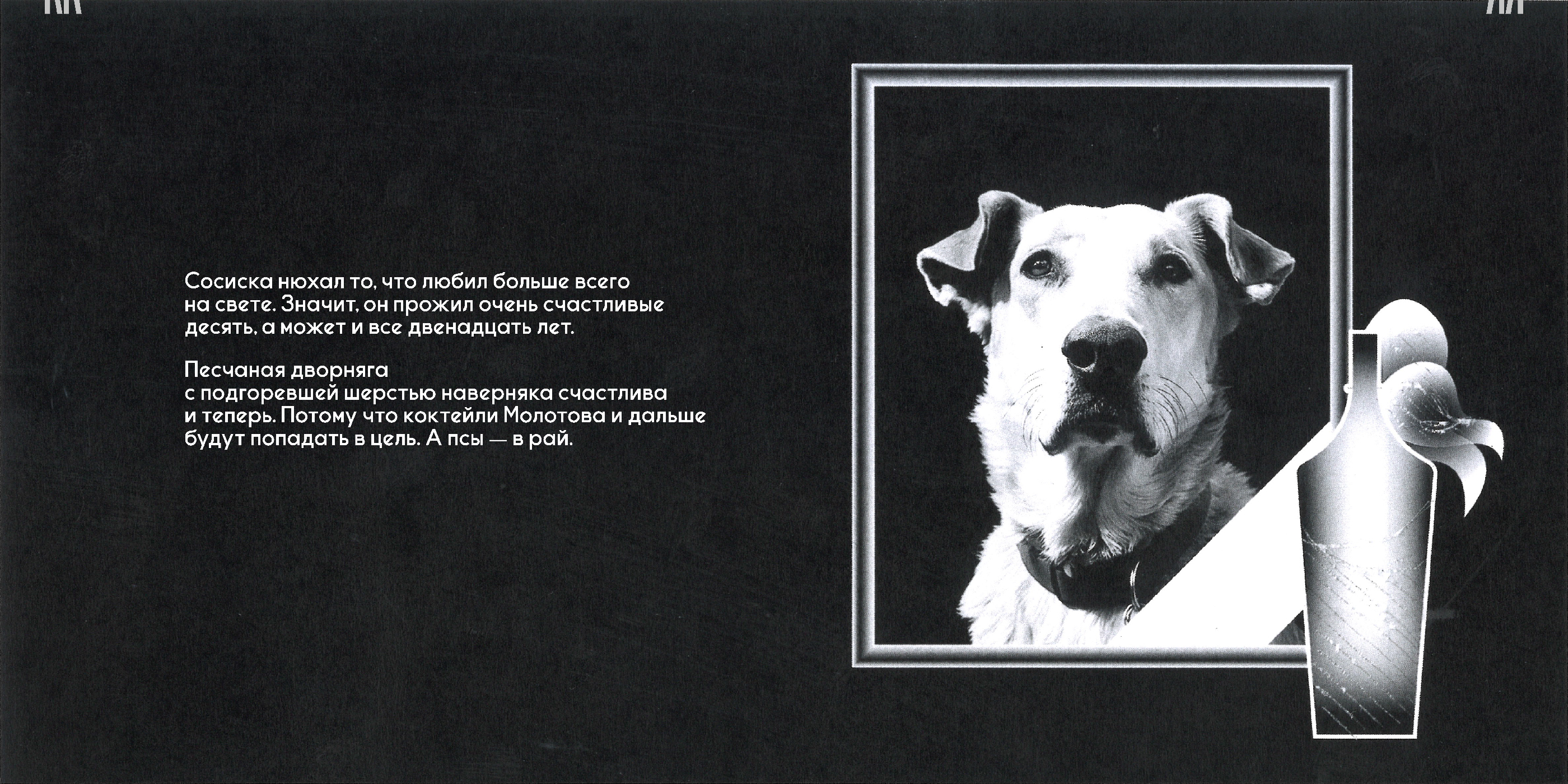 RIOT DOG - Лонгрид — Изображение №7 — Графика на Dprofile