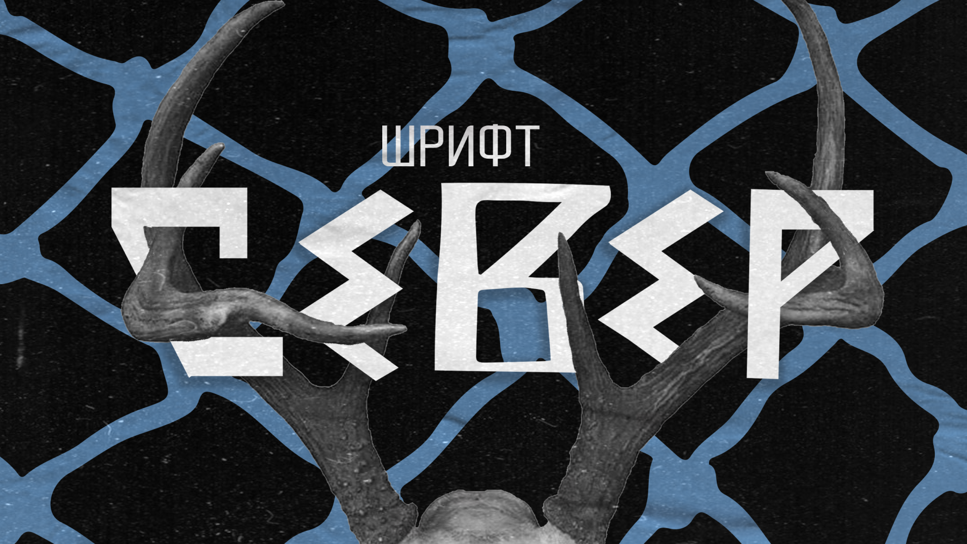 Зин Долганы — Изображение №15 — Графика на Dprofile