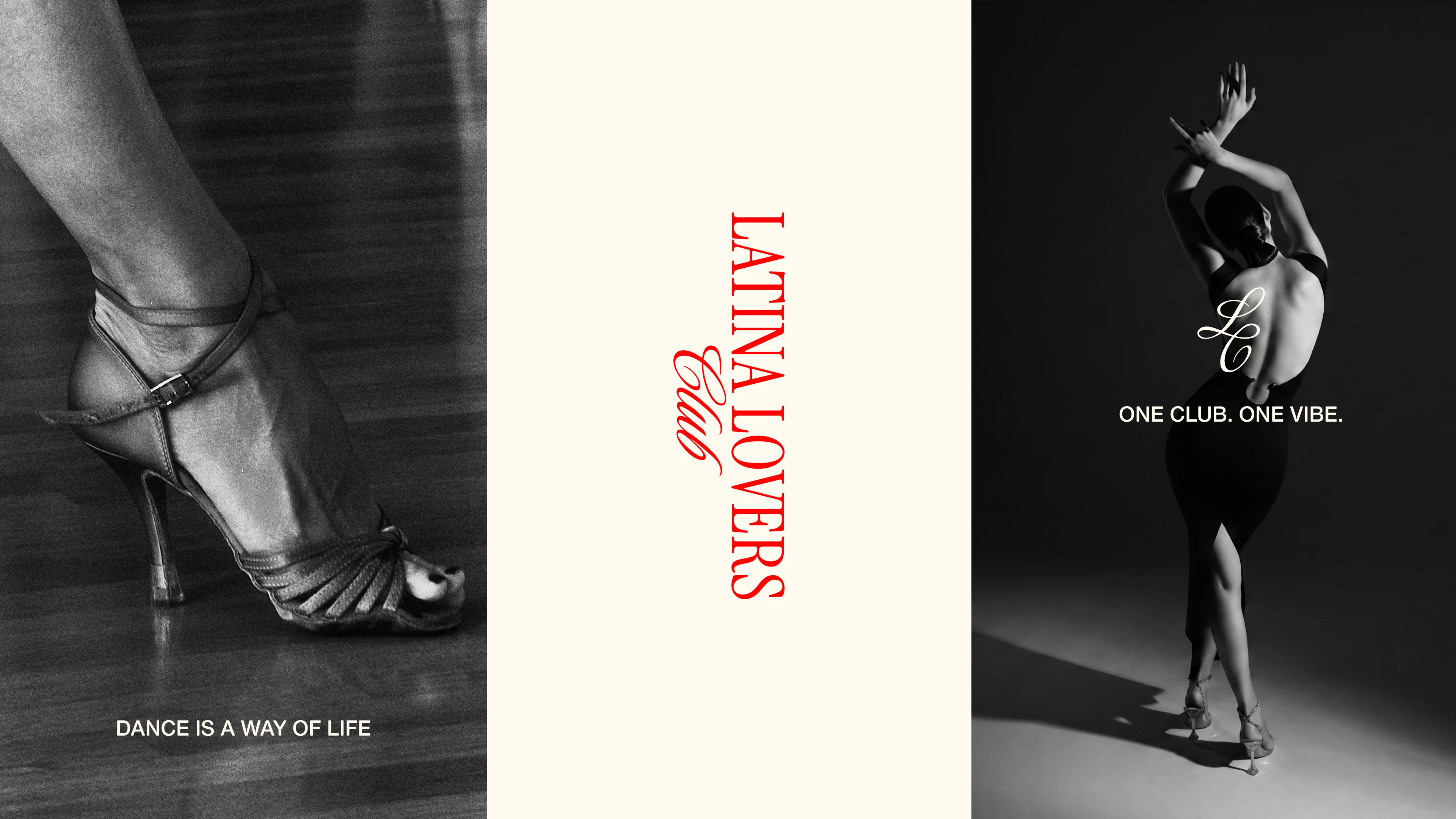 Latina Lovers Club — Изображение №6 — Брендинг на Dprofile
