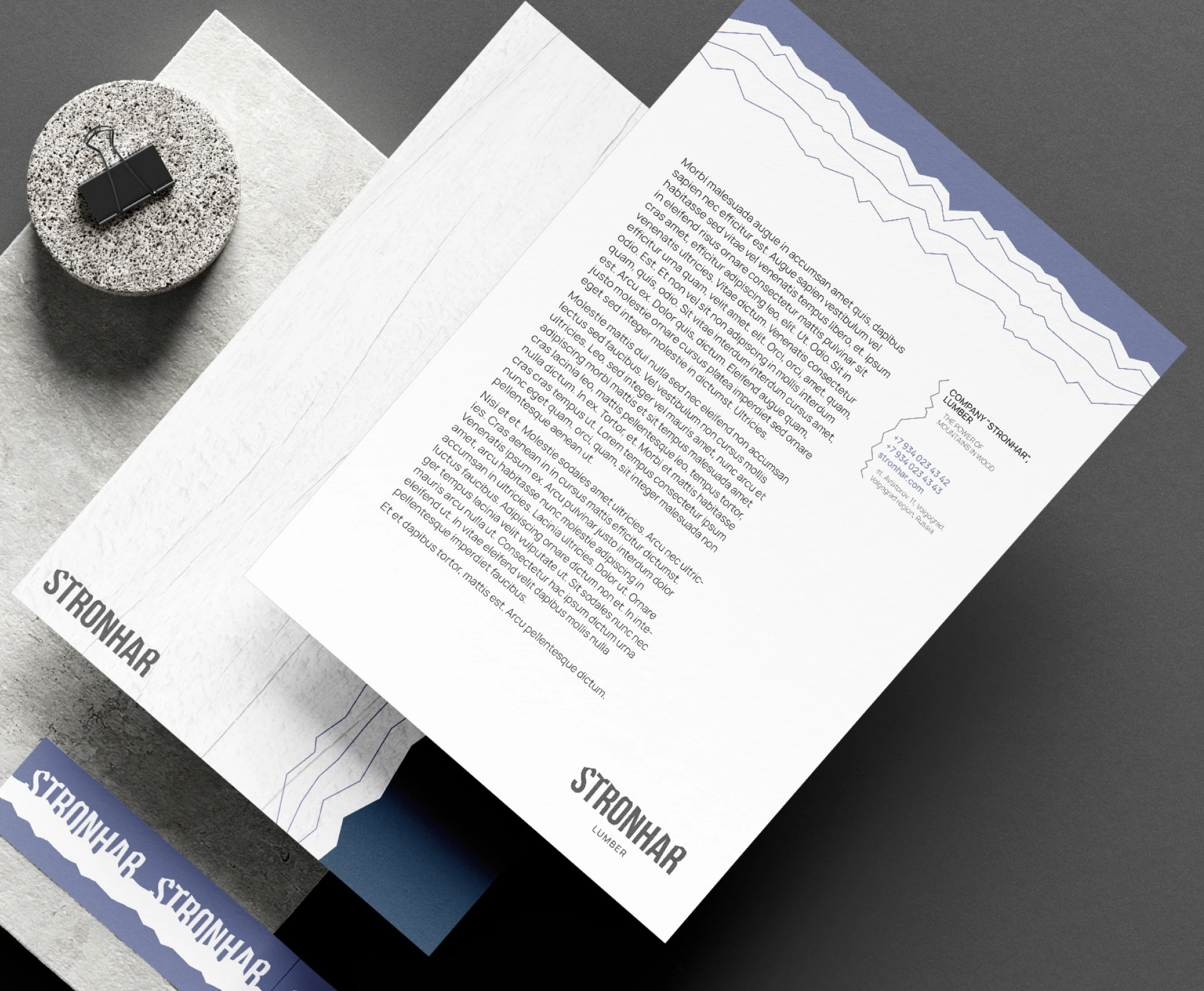 Айдентика «Стронхар» — Изображение №6 — Брендинг, Графика на Dprofile