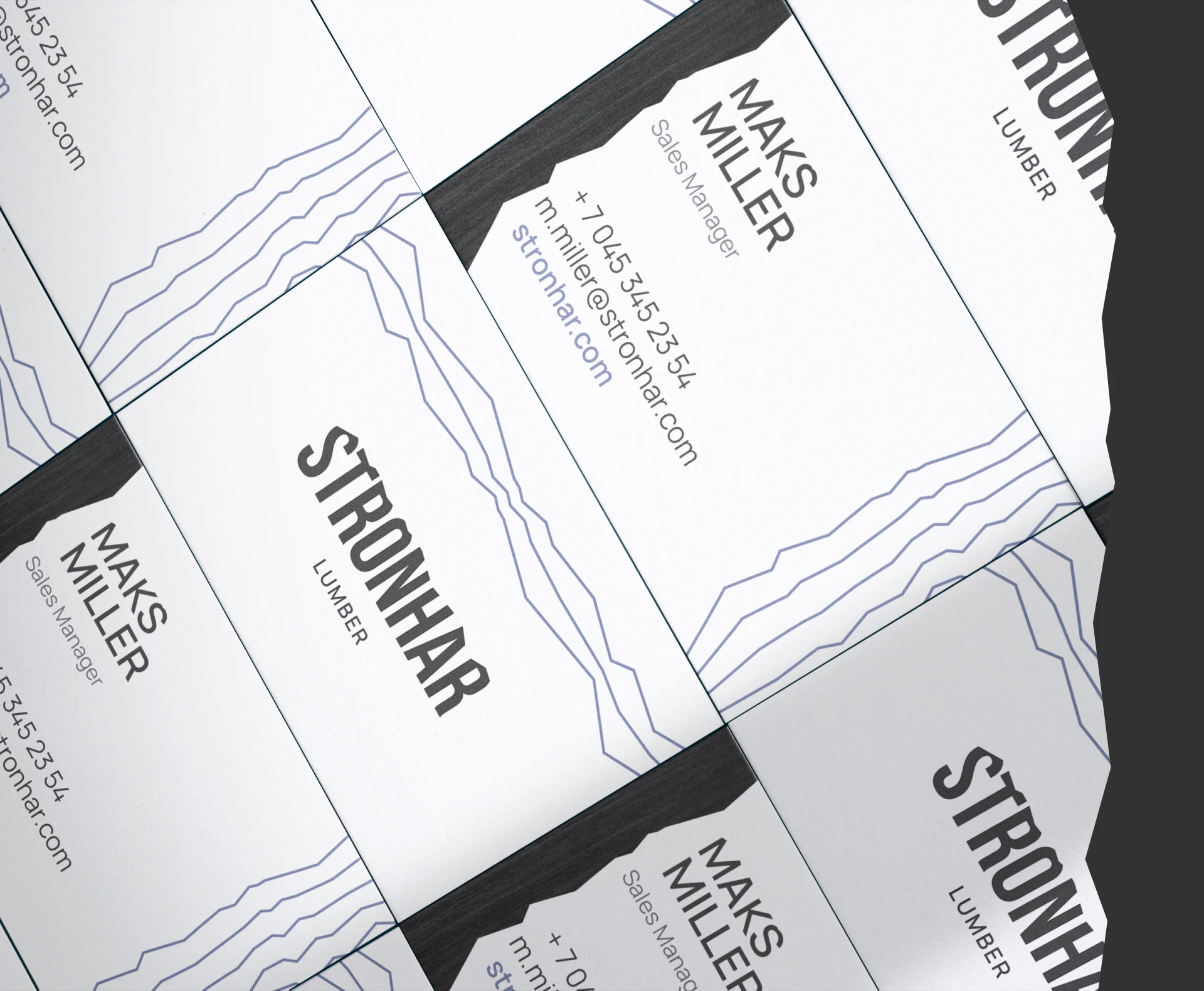 Айдентика «Стронхар» — Изображение №4 — Брендинг, Графика на Dprofile