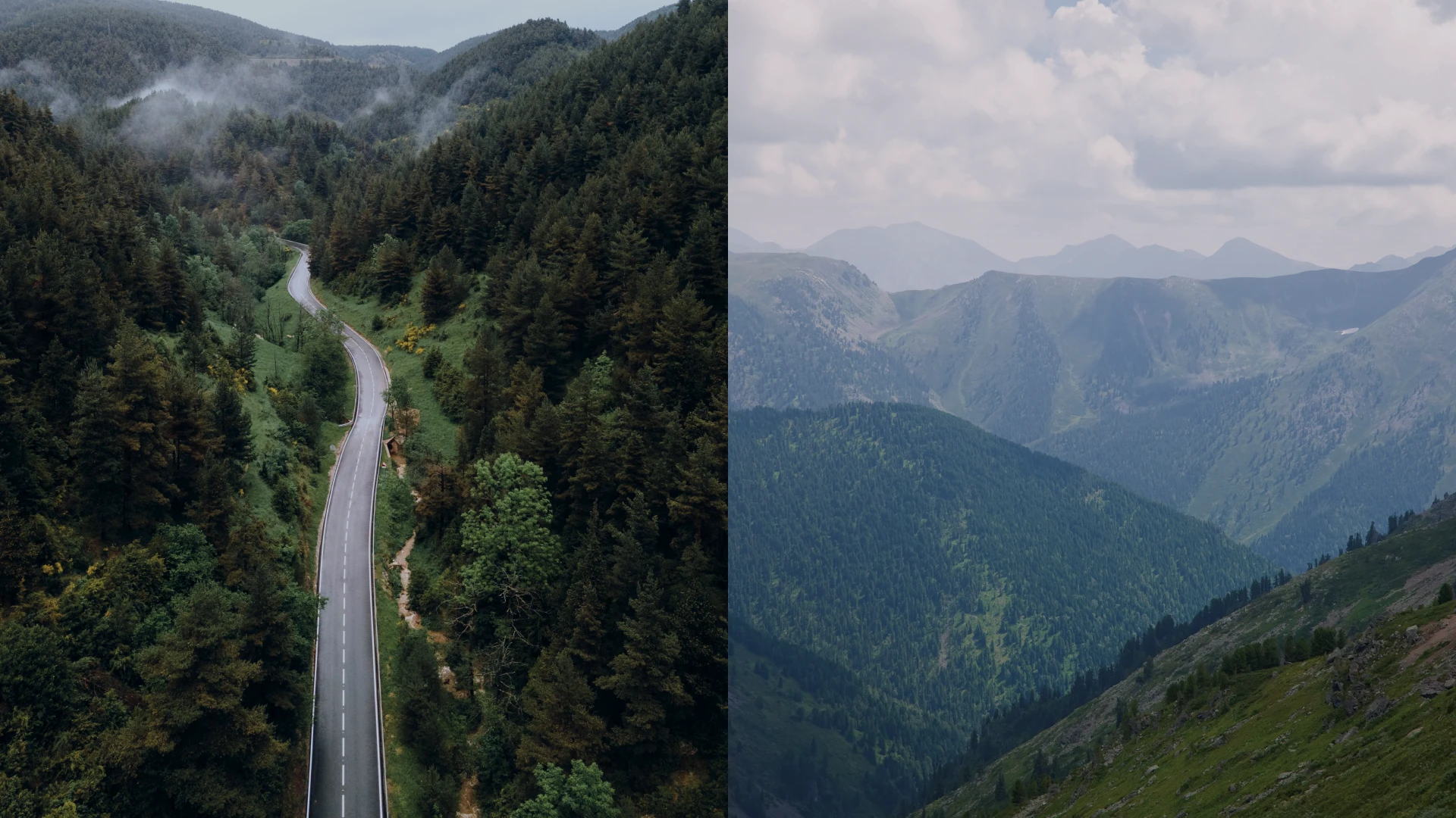 Айдентика «Стронхар» — Изображение №8 — Брендинг, Графика на Dprofile