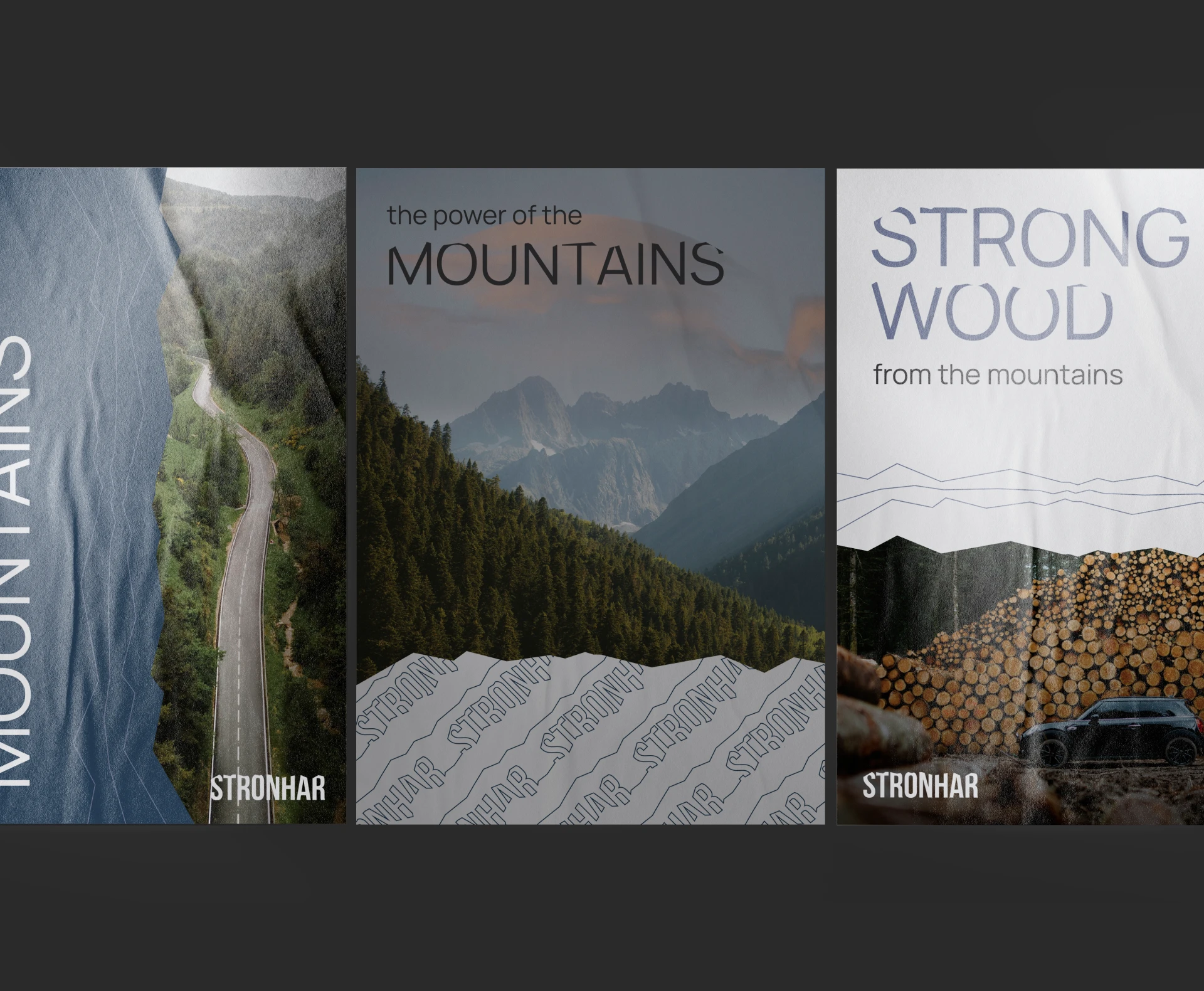 Айдентика «Стронхар» — Изображение №10 — Брендинг, Графика на Dprofile