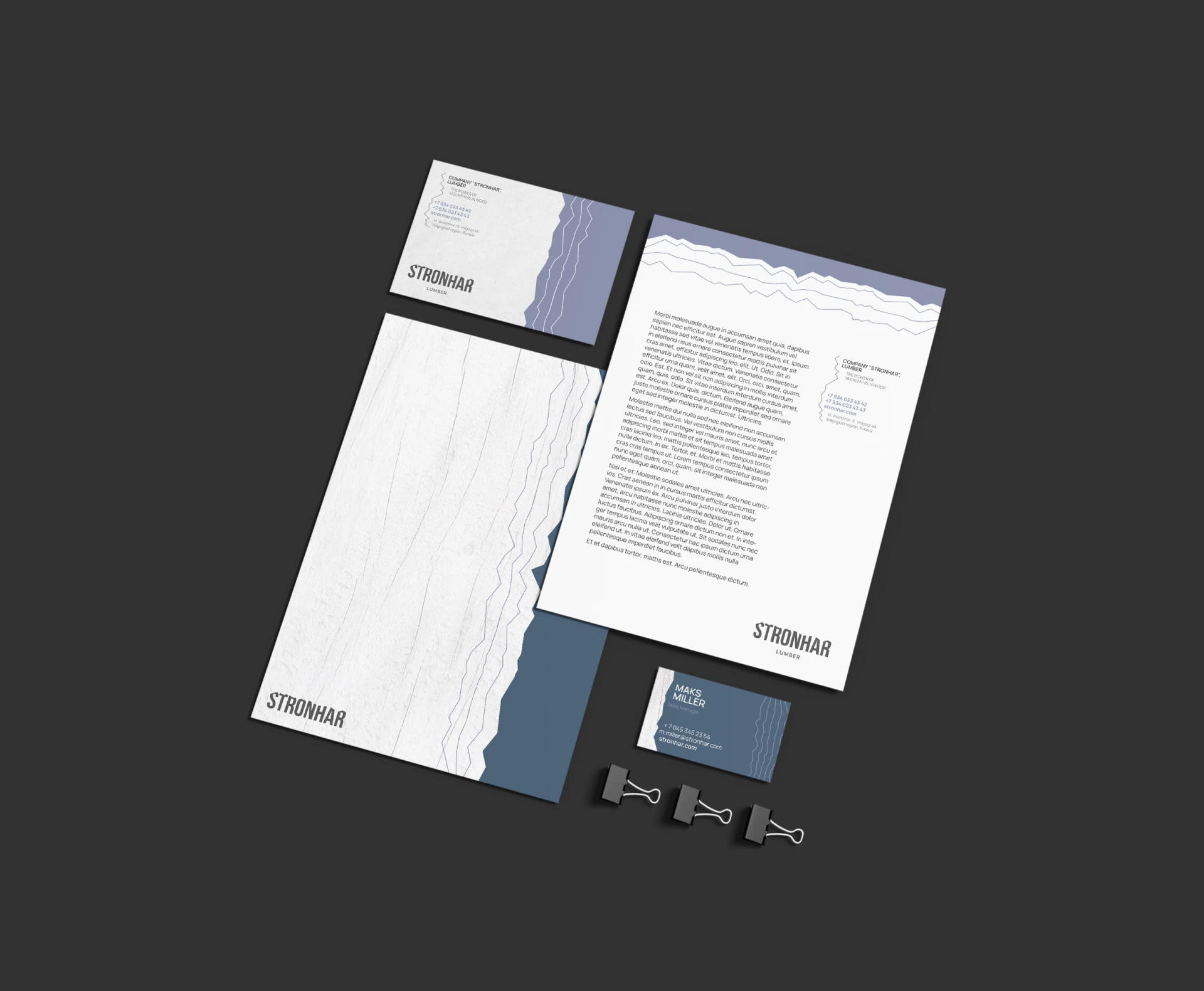 Айдентика «Стронхар» — Изображение №5 — Брендинг, Графика на Dprofile