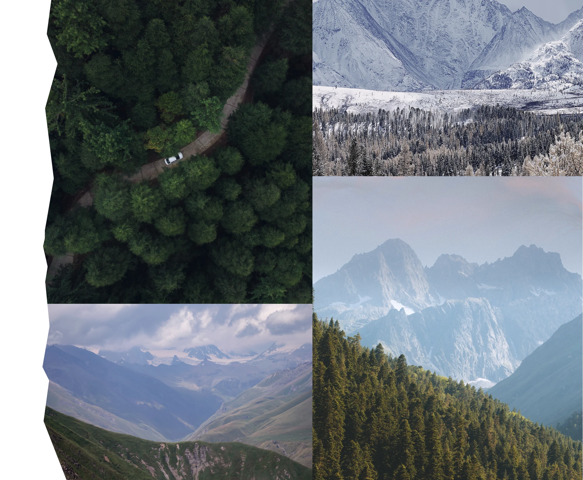 Айдентика «Стронхар» — Изображение №2 — Брендинг, Графика на Dprofile